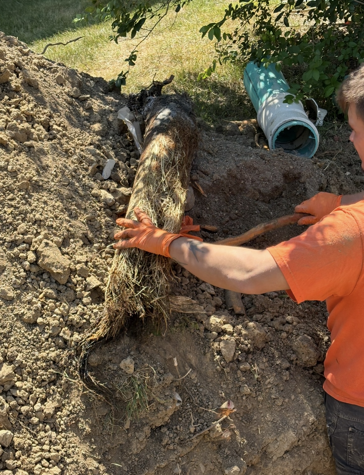Experience the reliable service of Summers Plumbing Heating & Cooling, where we handle even the toughest root intrusions with professionalism and care.