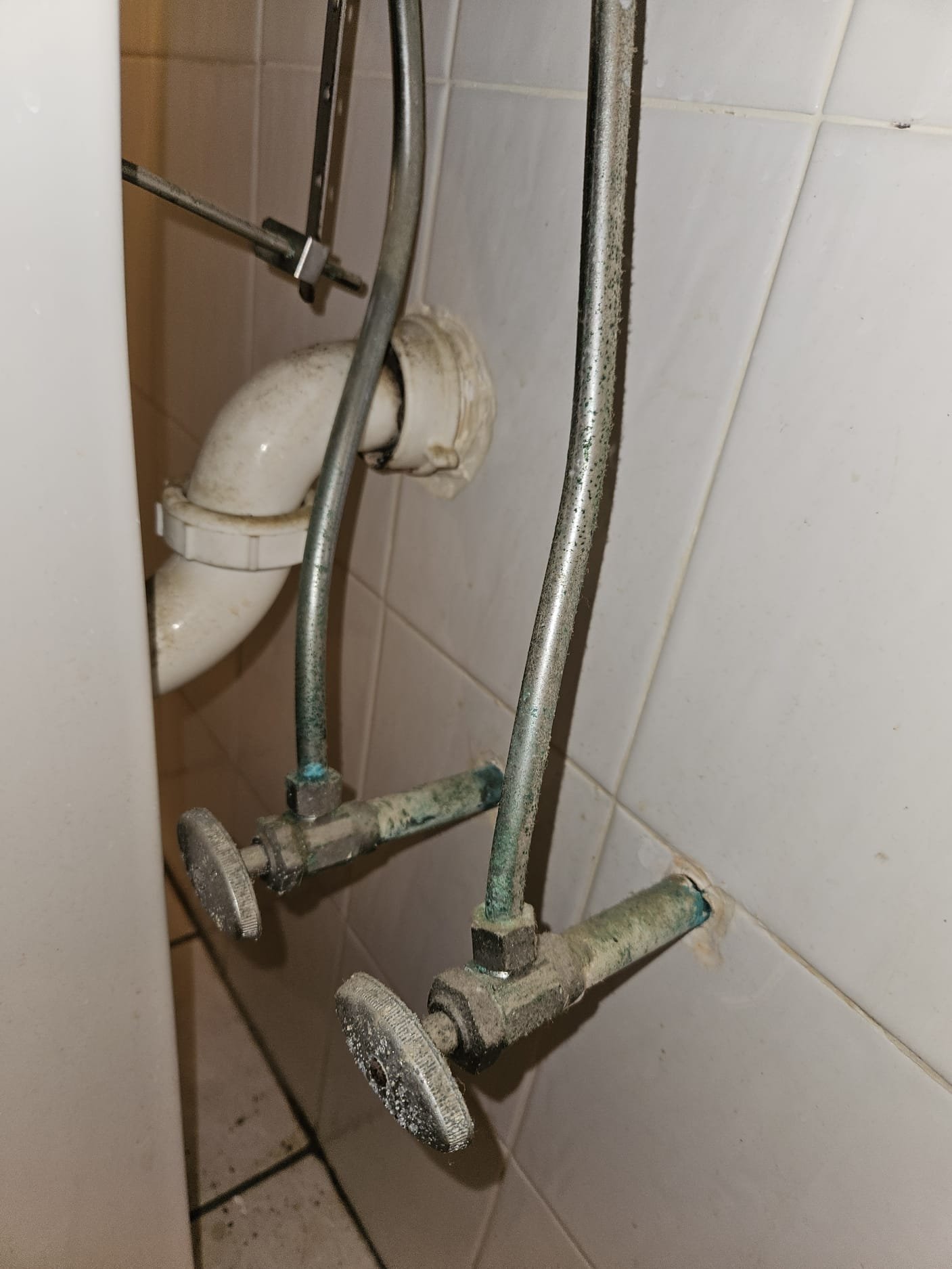 Ensure your plumbing system is in top shape with [Business Name]'s expert services.