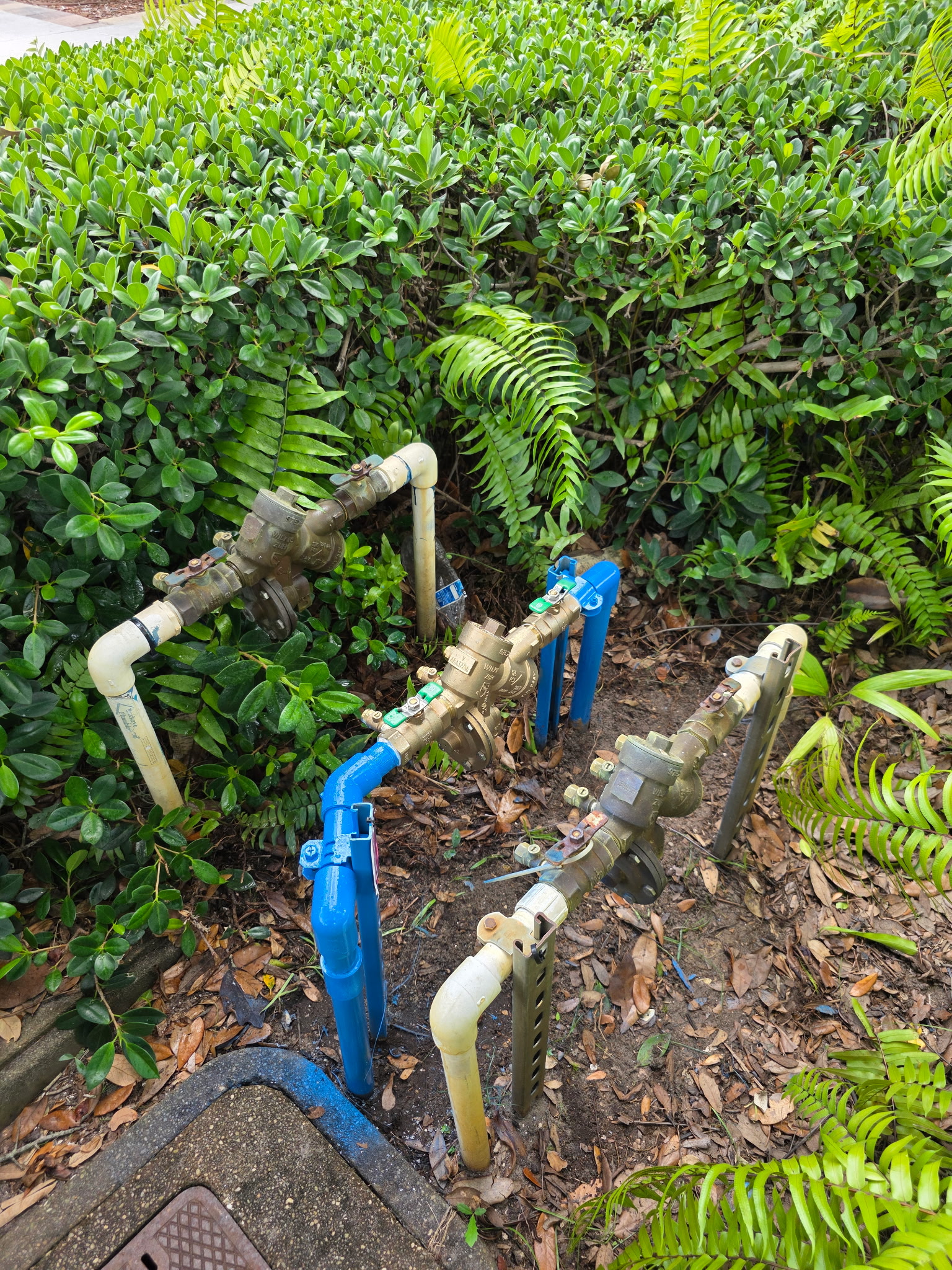 Erica's Plumbing ensures professional and reliable outdoor plumbing installations, even amidst the greenery.