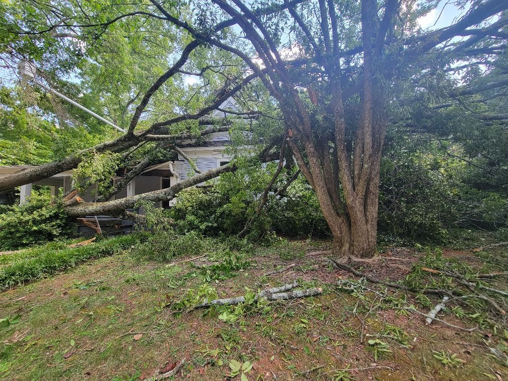 Aardvark Electric, Inc. is here to handle emergency situations like fallen trees with professionalism and efficiency, ensuring your safety and peace of mind.