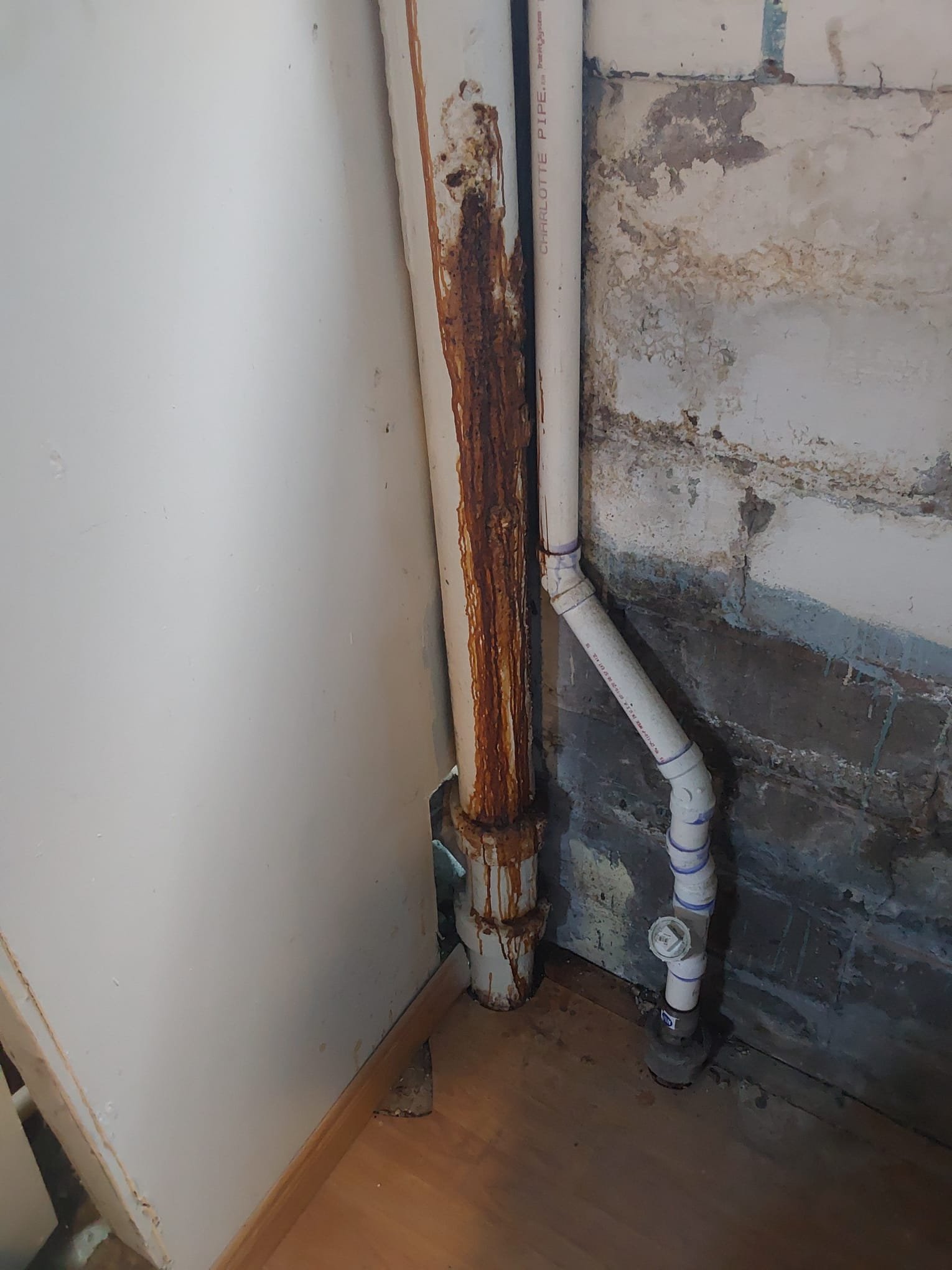 For those moments when pipes need extra care, Service Professionals is here to ensure reliability and resolve plumbing issues efficiently.