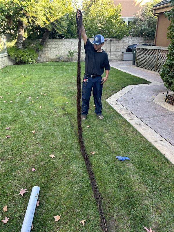 Cole Services ensures your plumbing issues are thoroughly taken care of, right down to the roots!