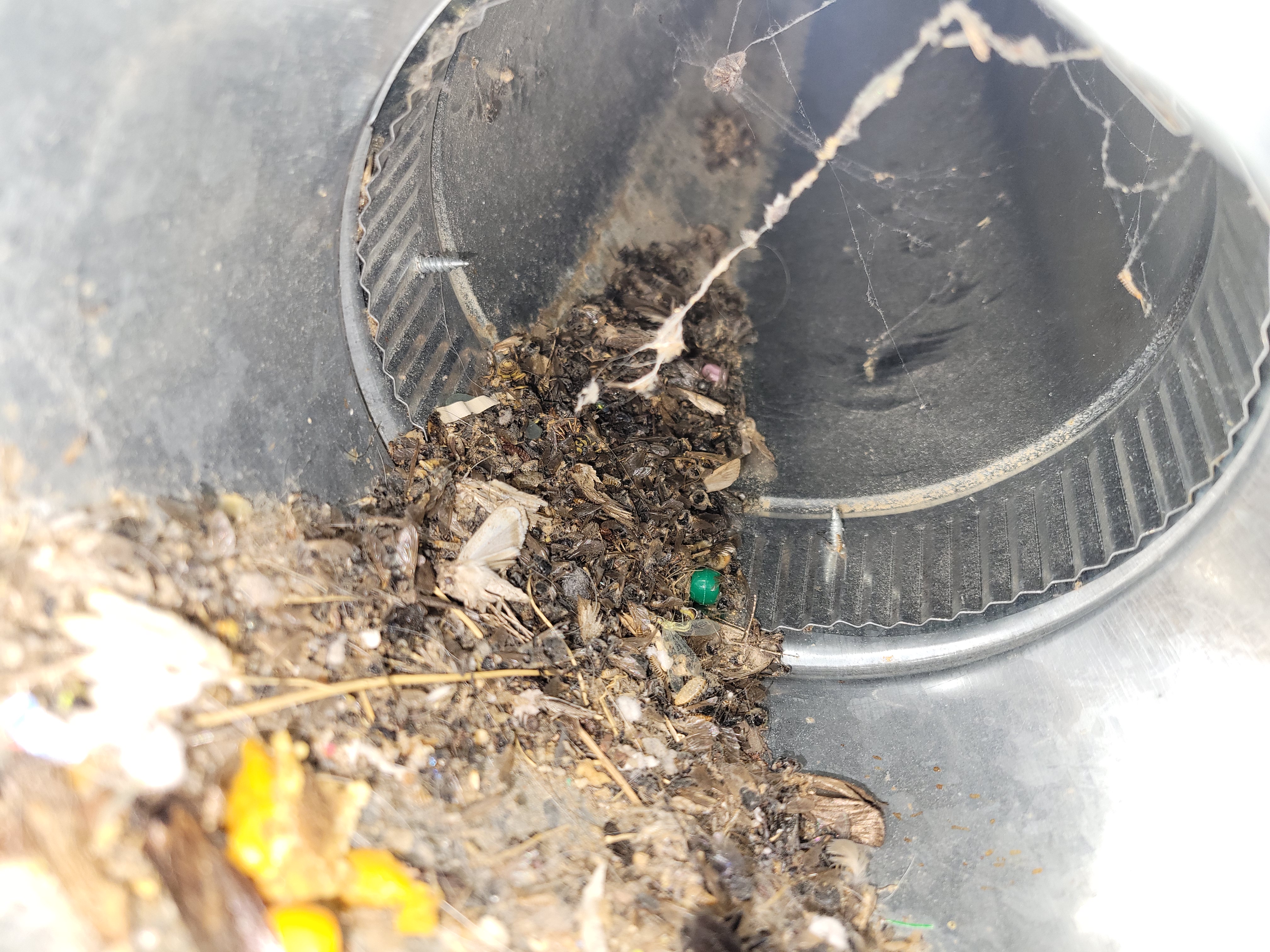 WireNut Home Services ensures clean and efficient duct systems to improve your indoor air quality.