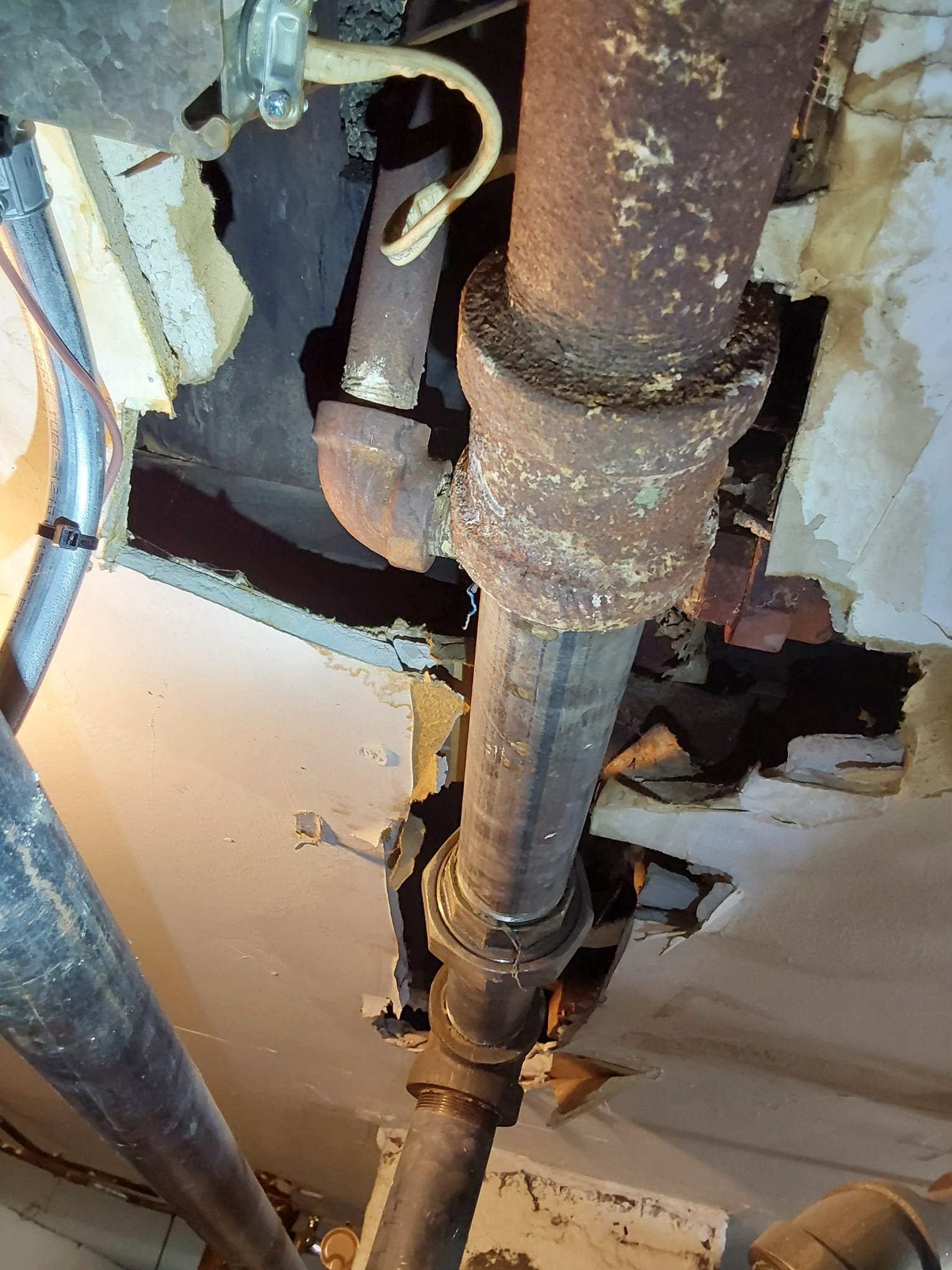 At Service Professionals, we turn urgent plumbing challenges into seamless solutions.