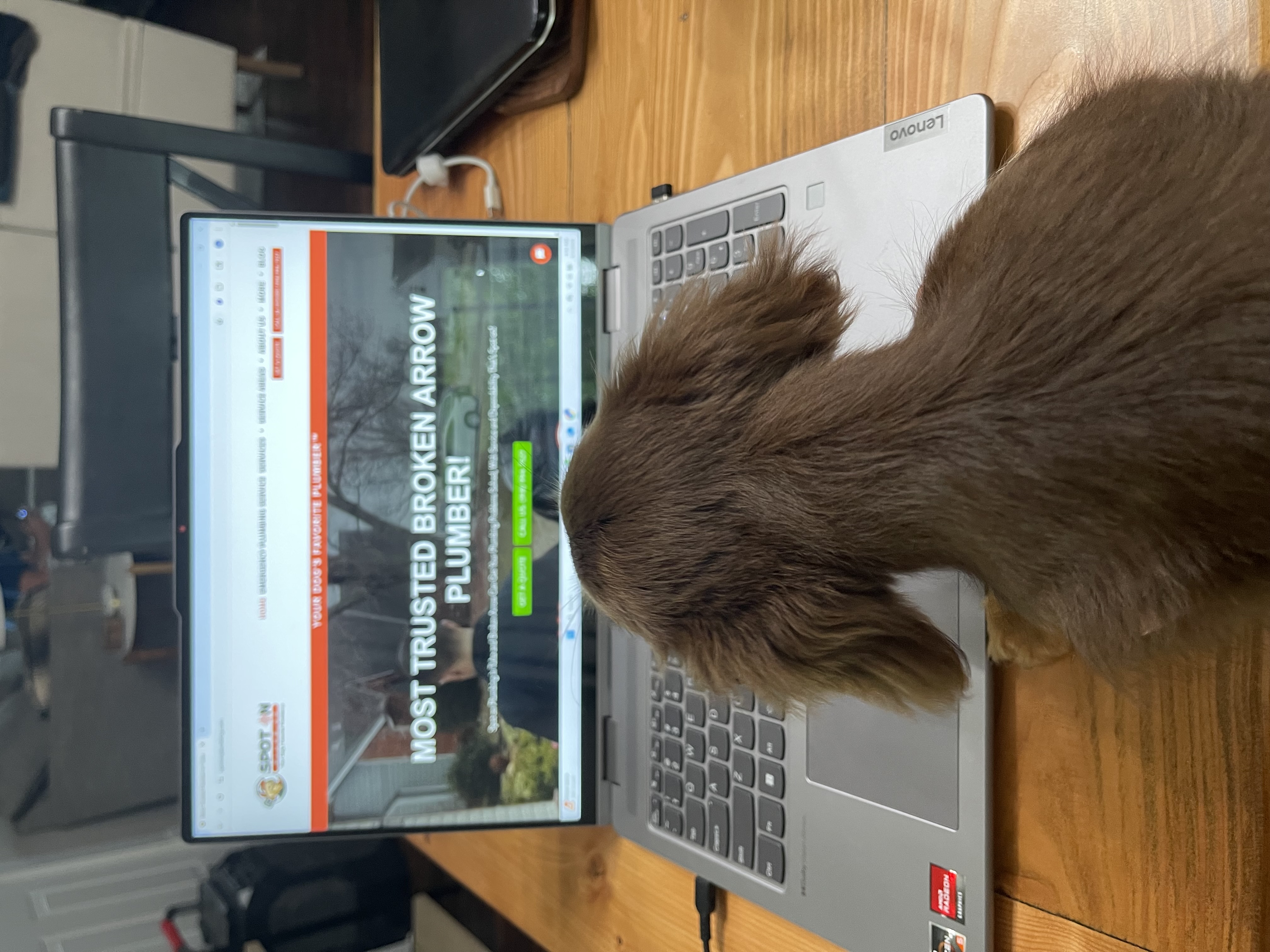 Spot On Plumbing - Your dog's favorite and most trusted Broken Arrow plumber! Experience service with a tail-wagging difference.