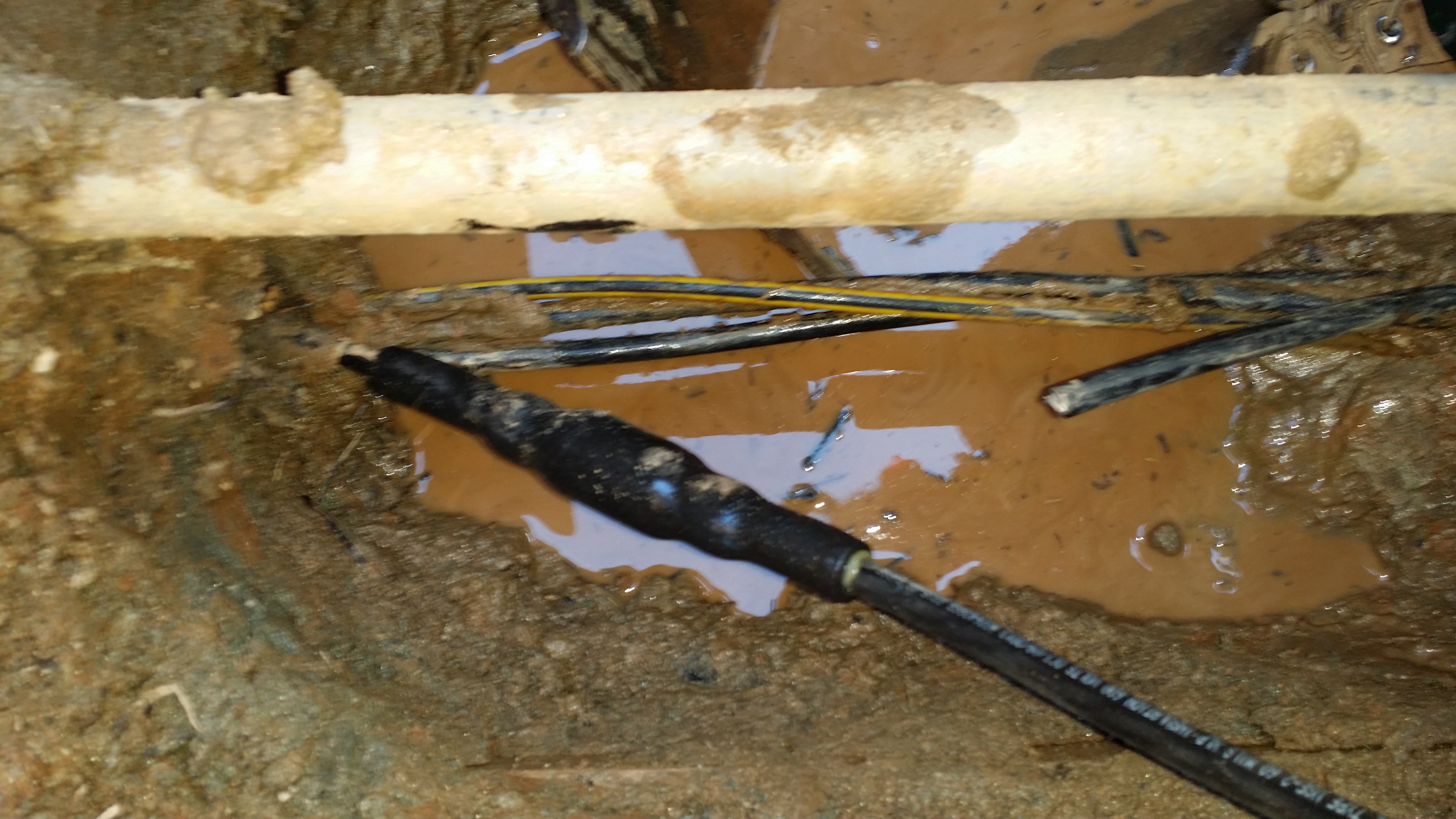 Aardvark Electric, Inc. ensures safe and reliable solutions for even the toughest electrical challenges.