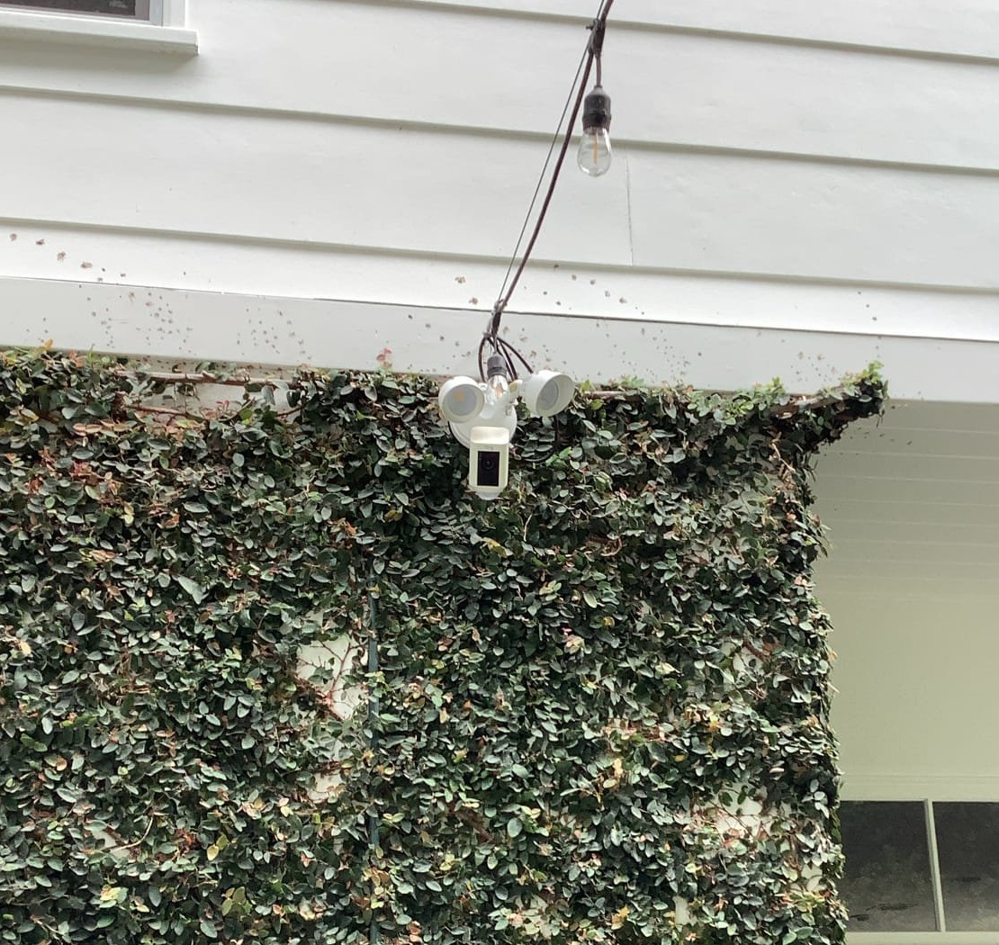 Powell Electric installed this outdoor floodlight camera to boost home security with clean, durable workmanship you can rely on.
