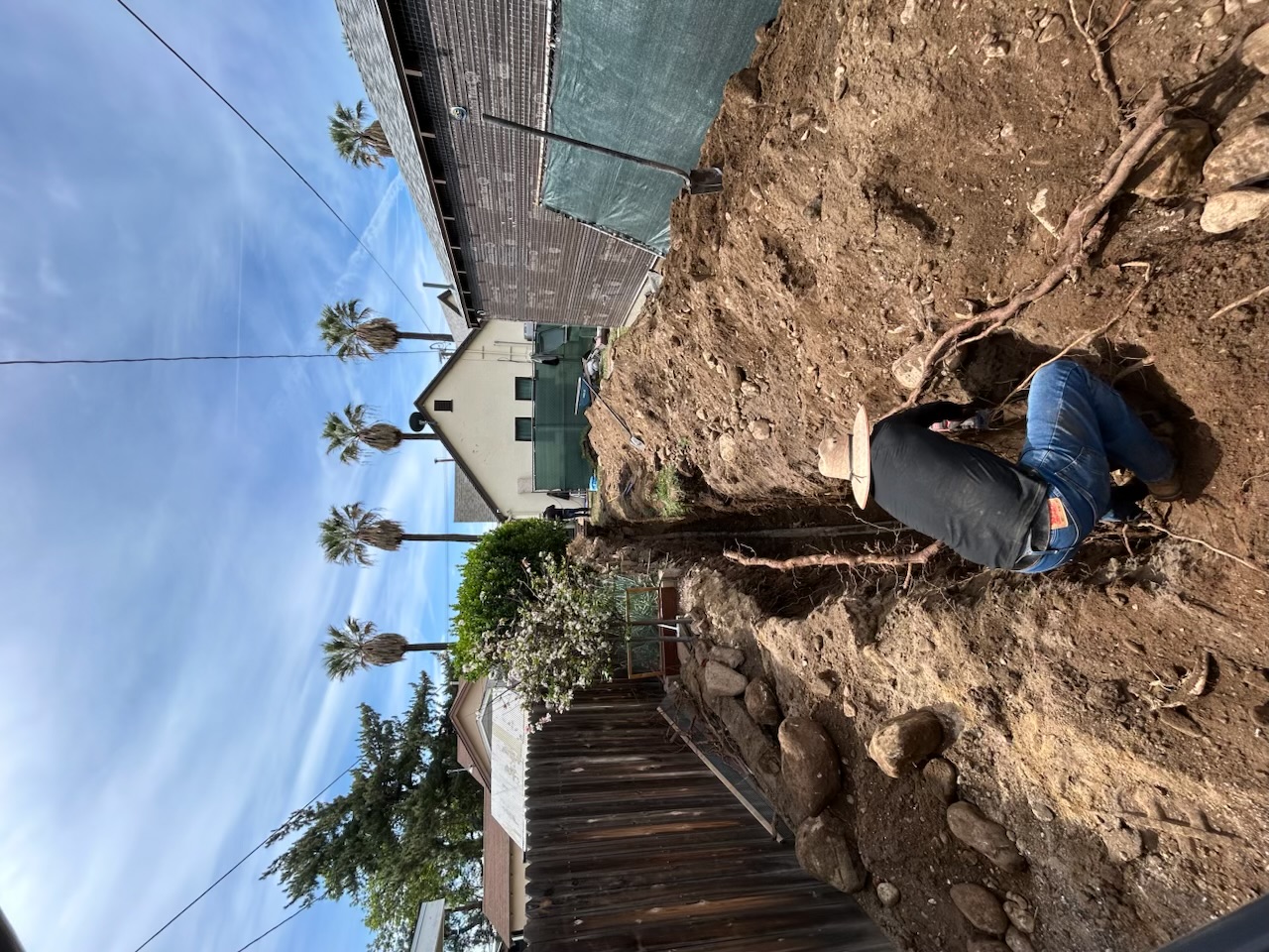 Cruz Plumbing & Rooter Services demonstrates careful trench excavation and root removal to restore reliable underground plumbing for homeowners.