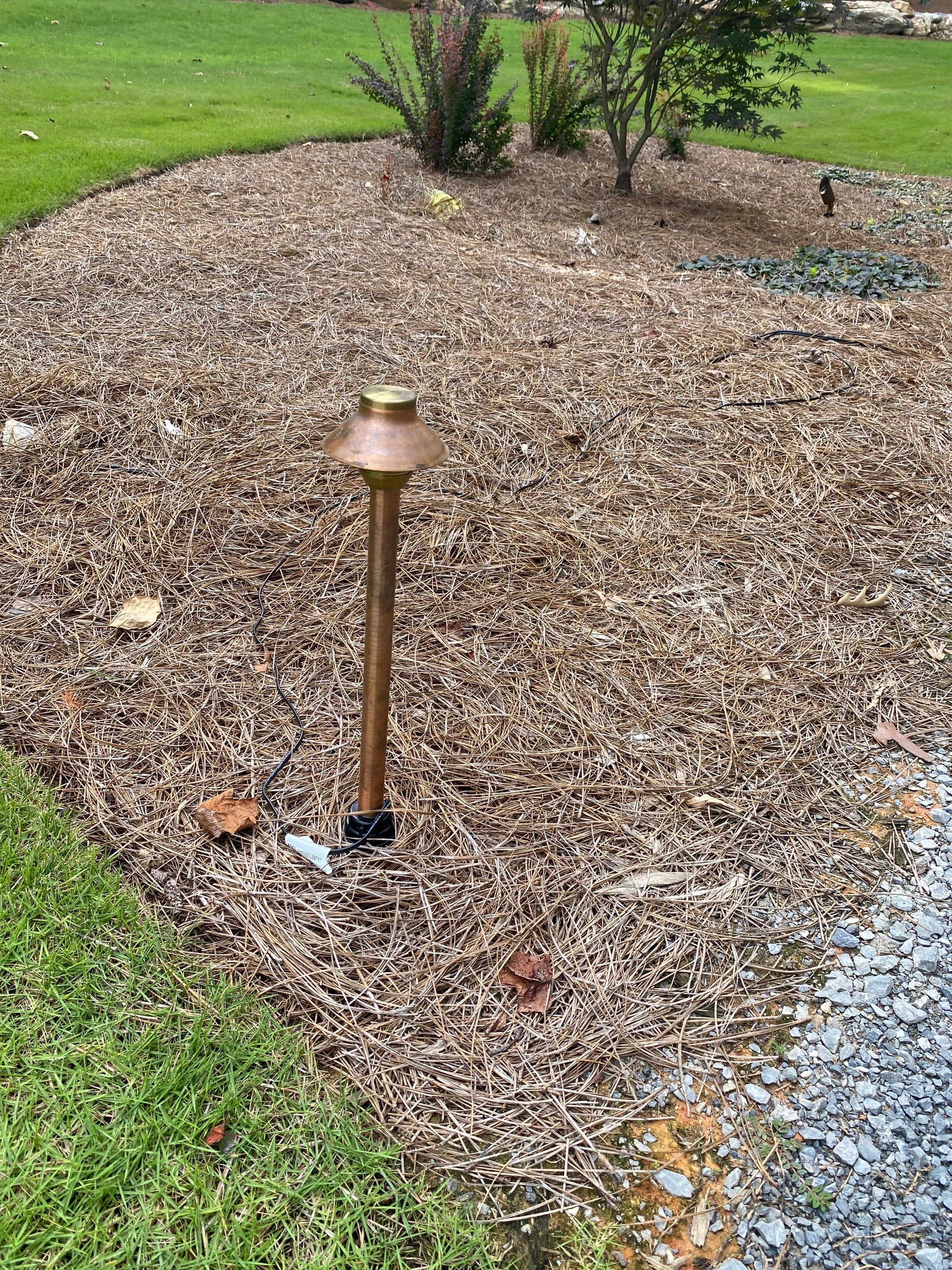 Bring evening warmth and safety to your yard with C&T Electric LLC, showcasing professional landscape lighting that enhances curb appeal.