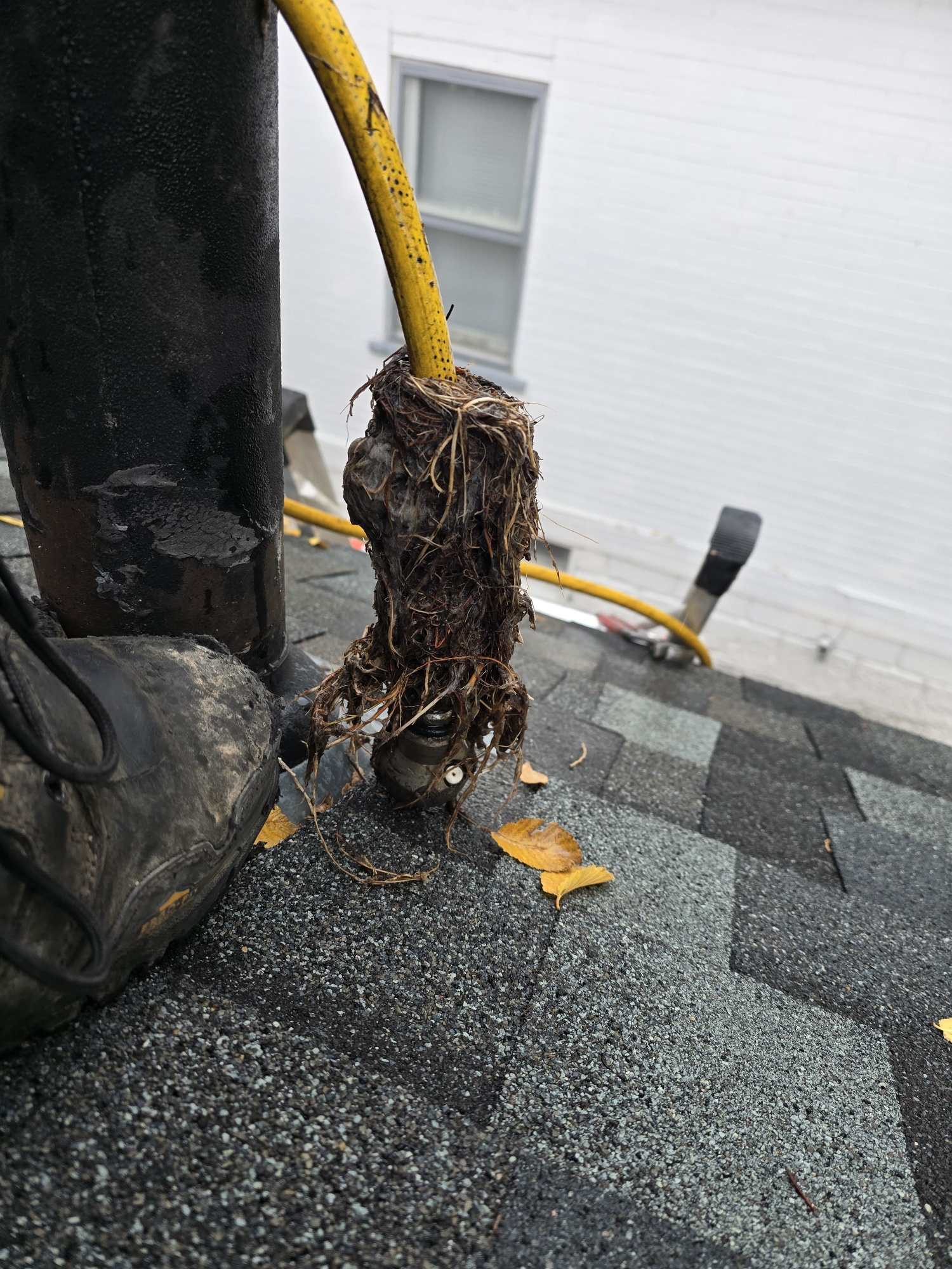 Ensure clean and efficient drains with Eric's Plumbing & Drain Cleaning—handling the tough jobs so you don't have to!