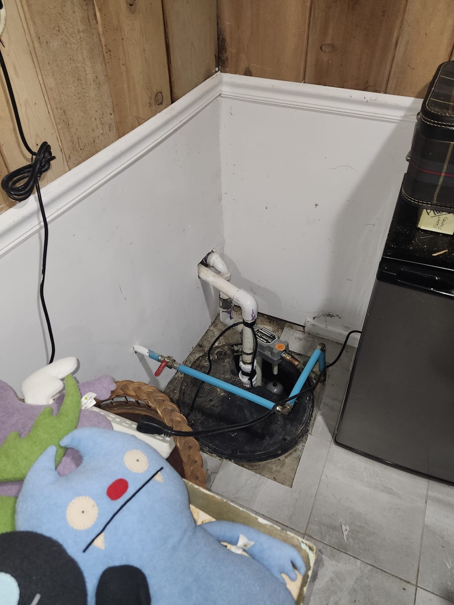 Service Professionals offers reliable sump pump installations to keep your basement dry and safe, showcasing their expert workmanship in every detail.