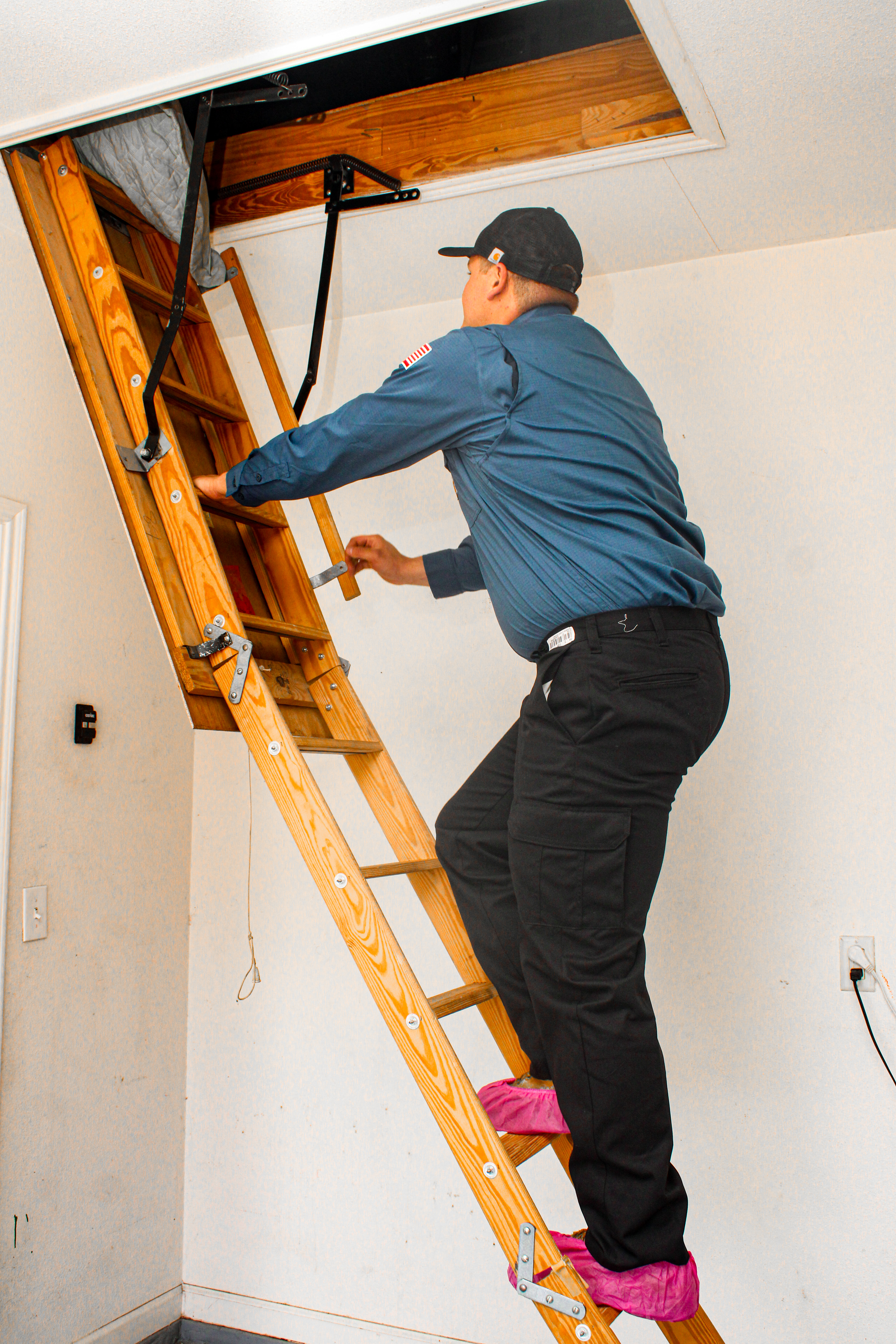 Elmer's Home Services— Efficiency and care in every step we take.