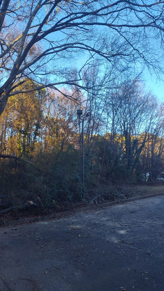 Experience seamless outdoor electrical services with Aardvark Electric, Inc. for a brighter environment.