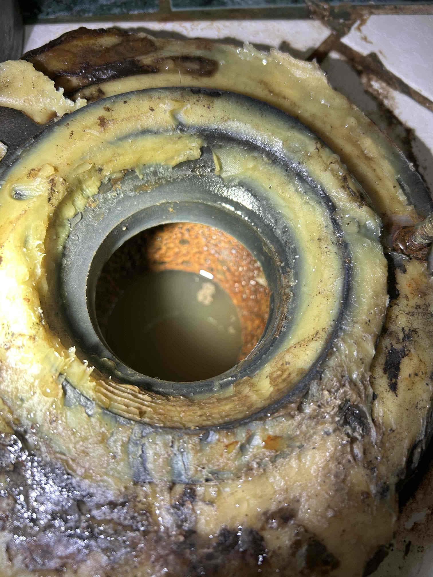 Trust Cole Services for expert plumbing solutions when dealing with tough clogs and corrosion challenges.