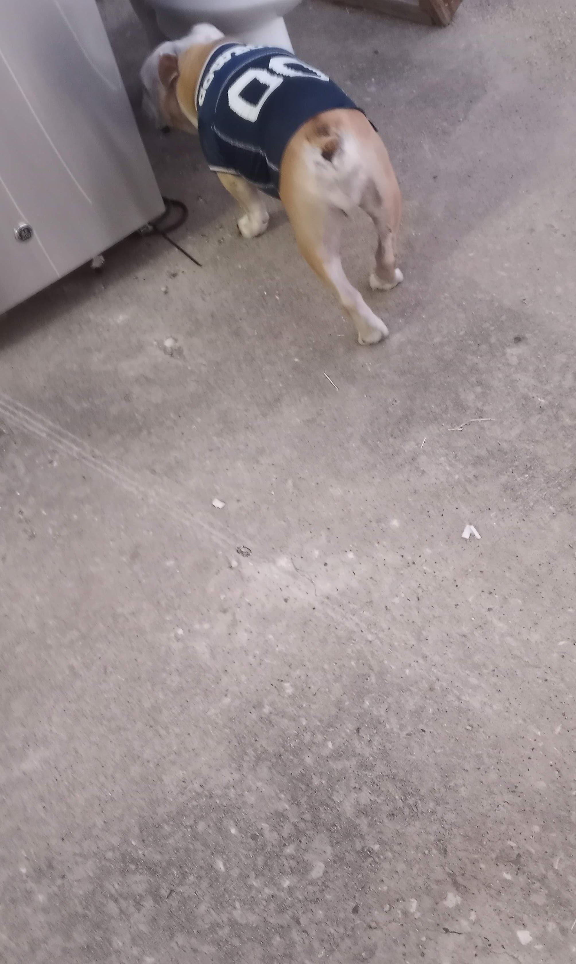 Friendly on-site moments add trust, and Abacus Plumbing, Air Conditioning & Electrical brings caring customer service to every home visit.