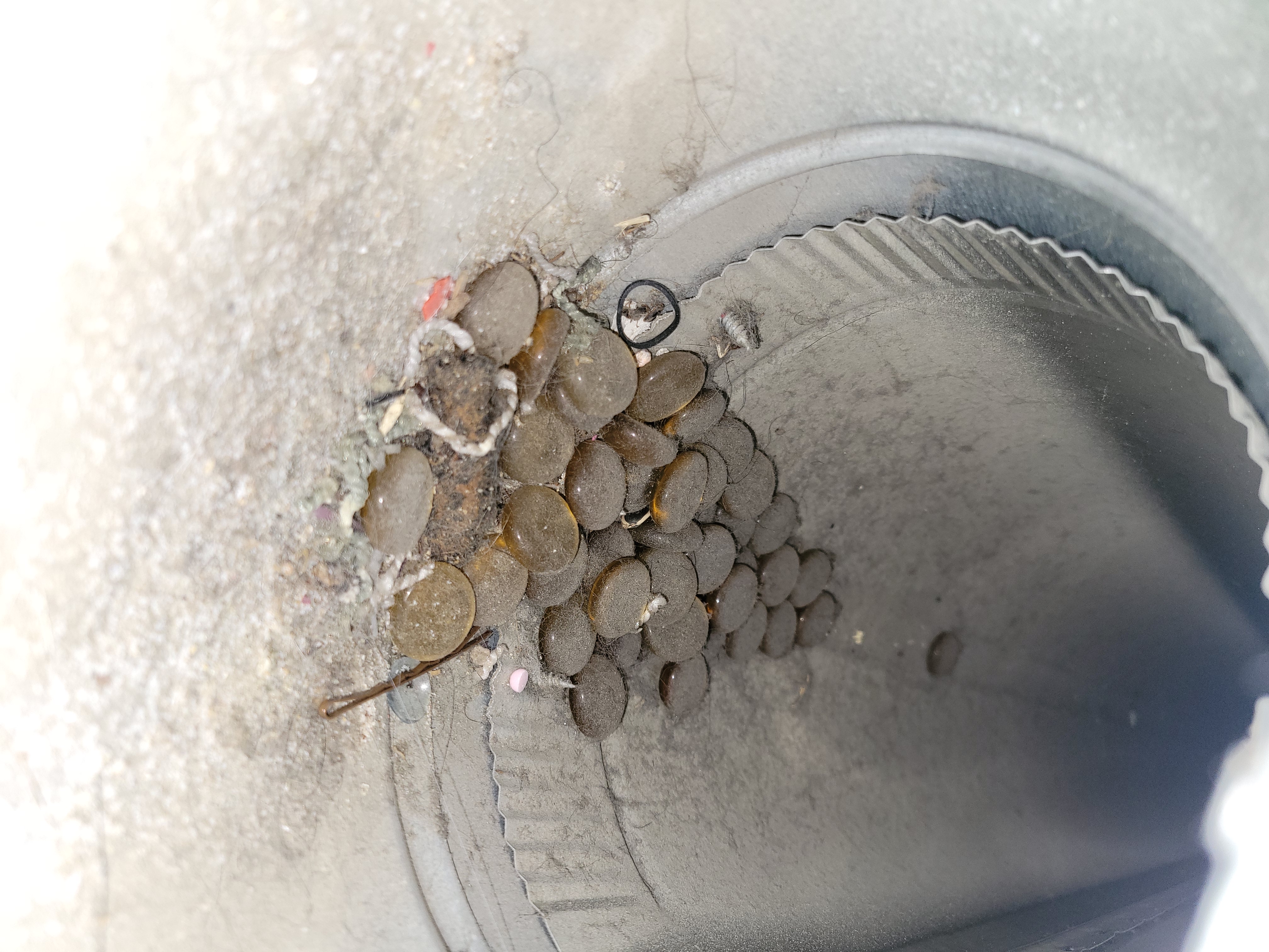 Ensure your home's air quality with a thorough duct cleaning service by WireNut Home Services, keeping your environment clean and safe.