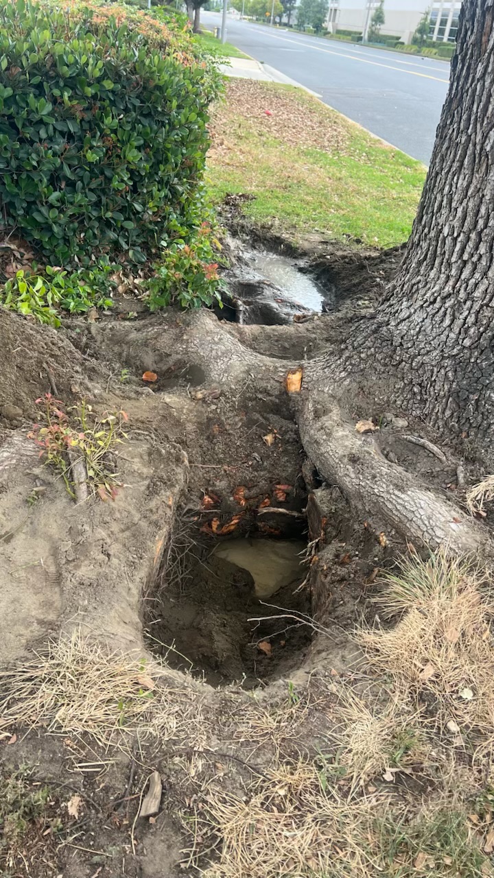 Cruz Plumbing & Rooter Services quickly exposed the source of a leak beside the curb, showing prompt, reliable on-site repair.