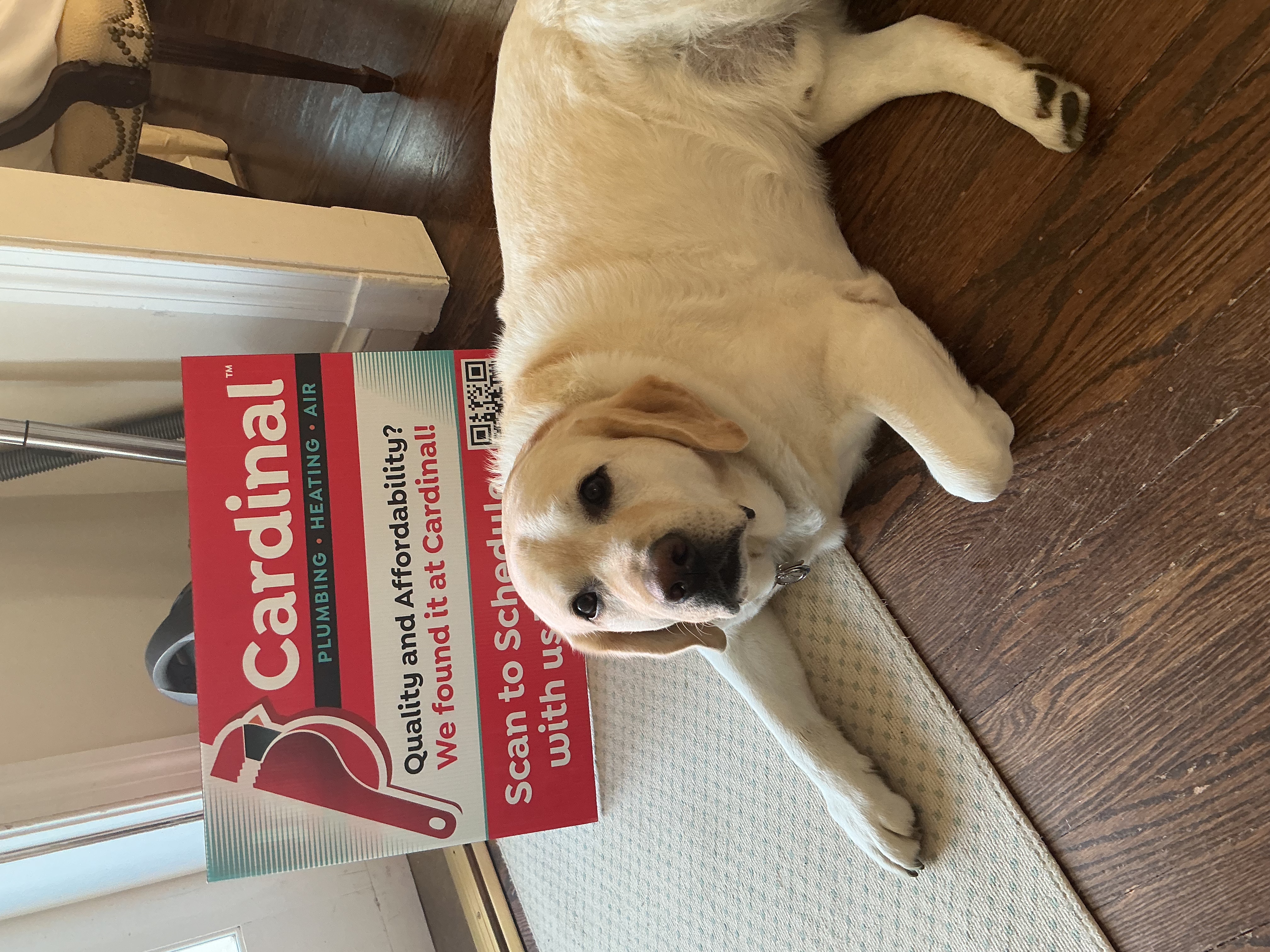 Relaxed and trustworthy, Cardinal Plumbing Heating & Air brings reliable service and clear scheduling options right to your home.