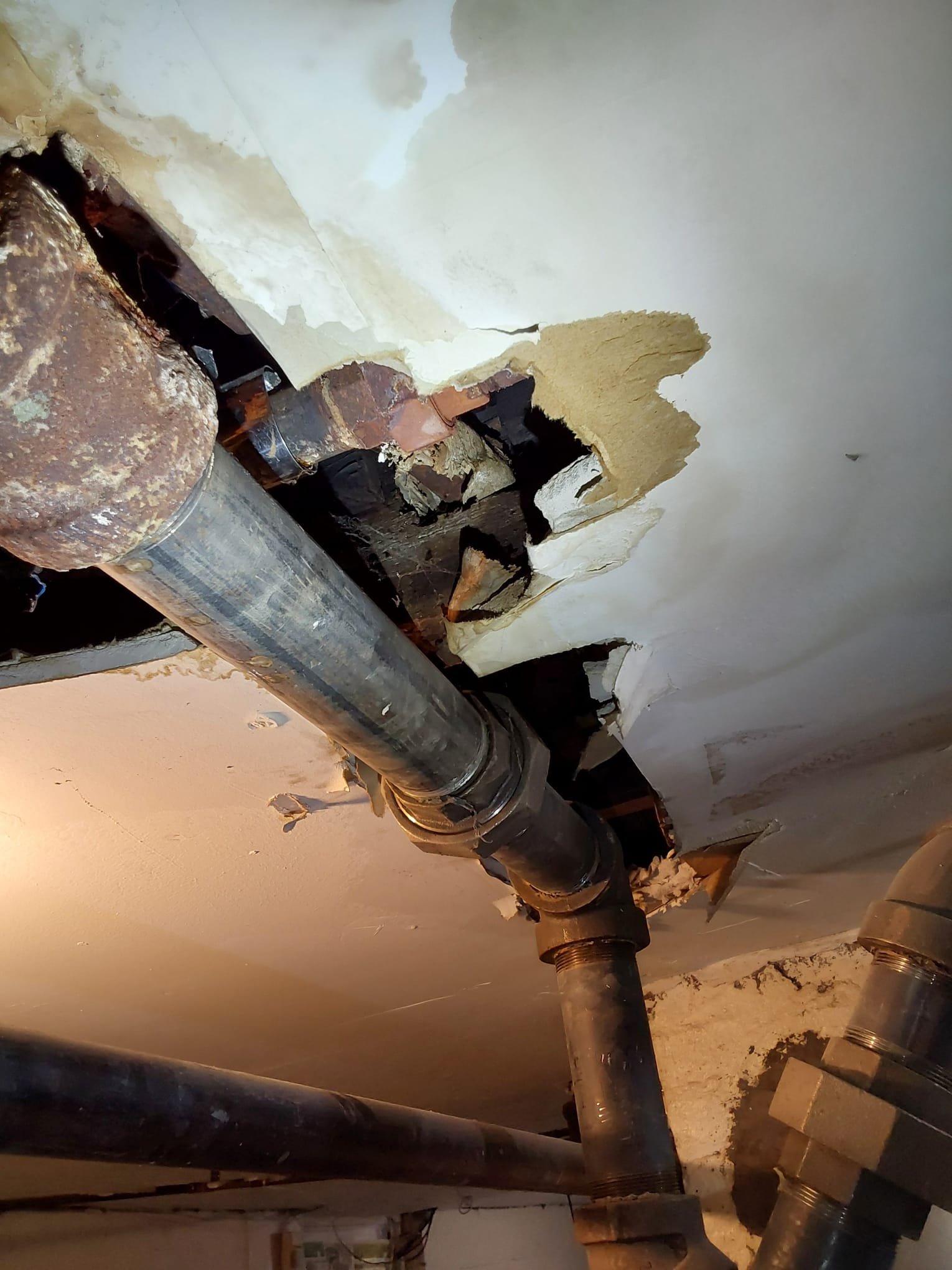 Trust Service Professionals to restore and maintain the integrity of your plumbing, ensuring long-lasting solutions for water damage.