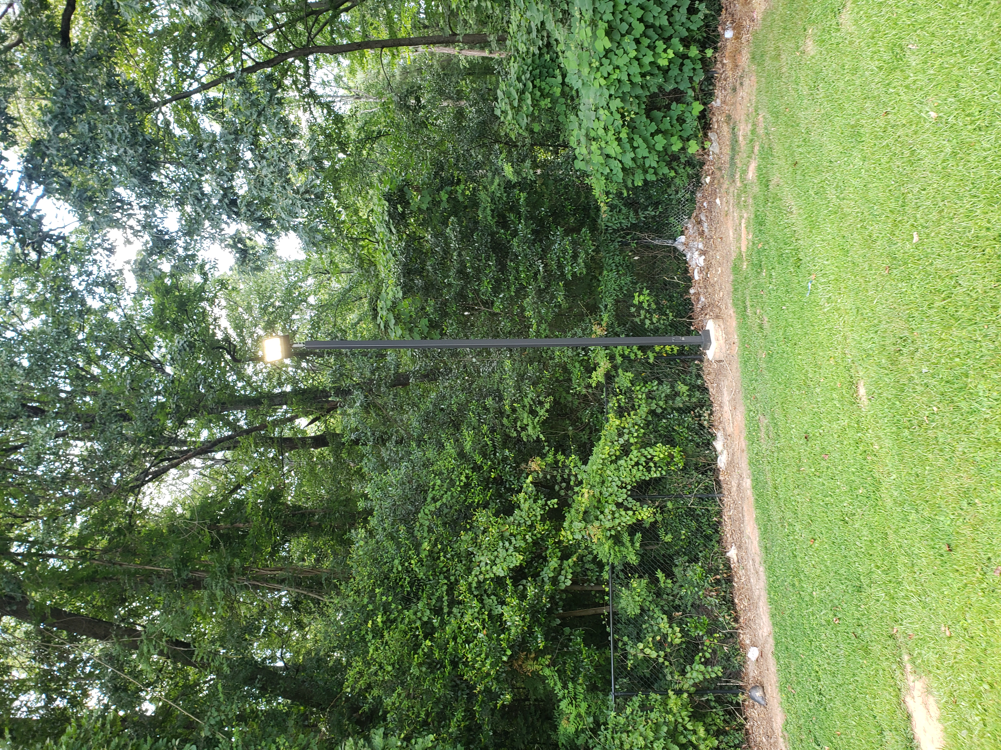 Illuminate your outdoor spaces with Aardvark Electric, Inc.'s professional lighting installations.