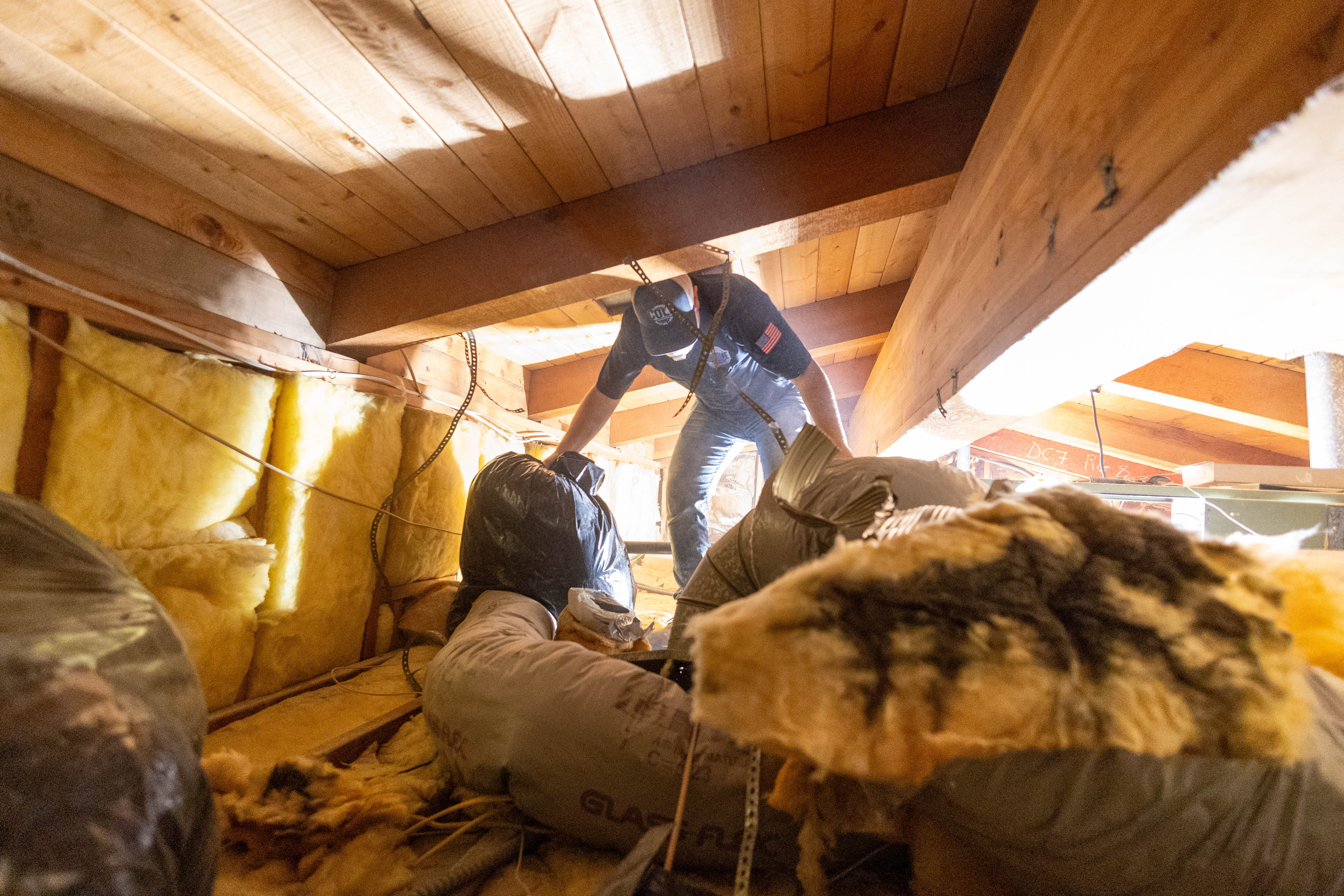 Trust Cole Services for expert insulation work in every space.