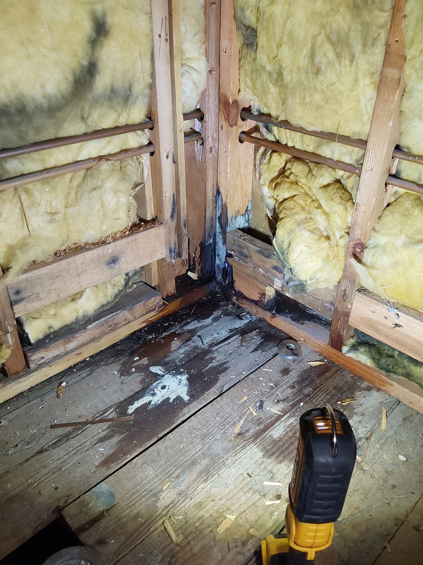 Ensure a safe and mold-free home with our expert inspection and repair services.