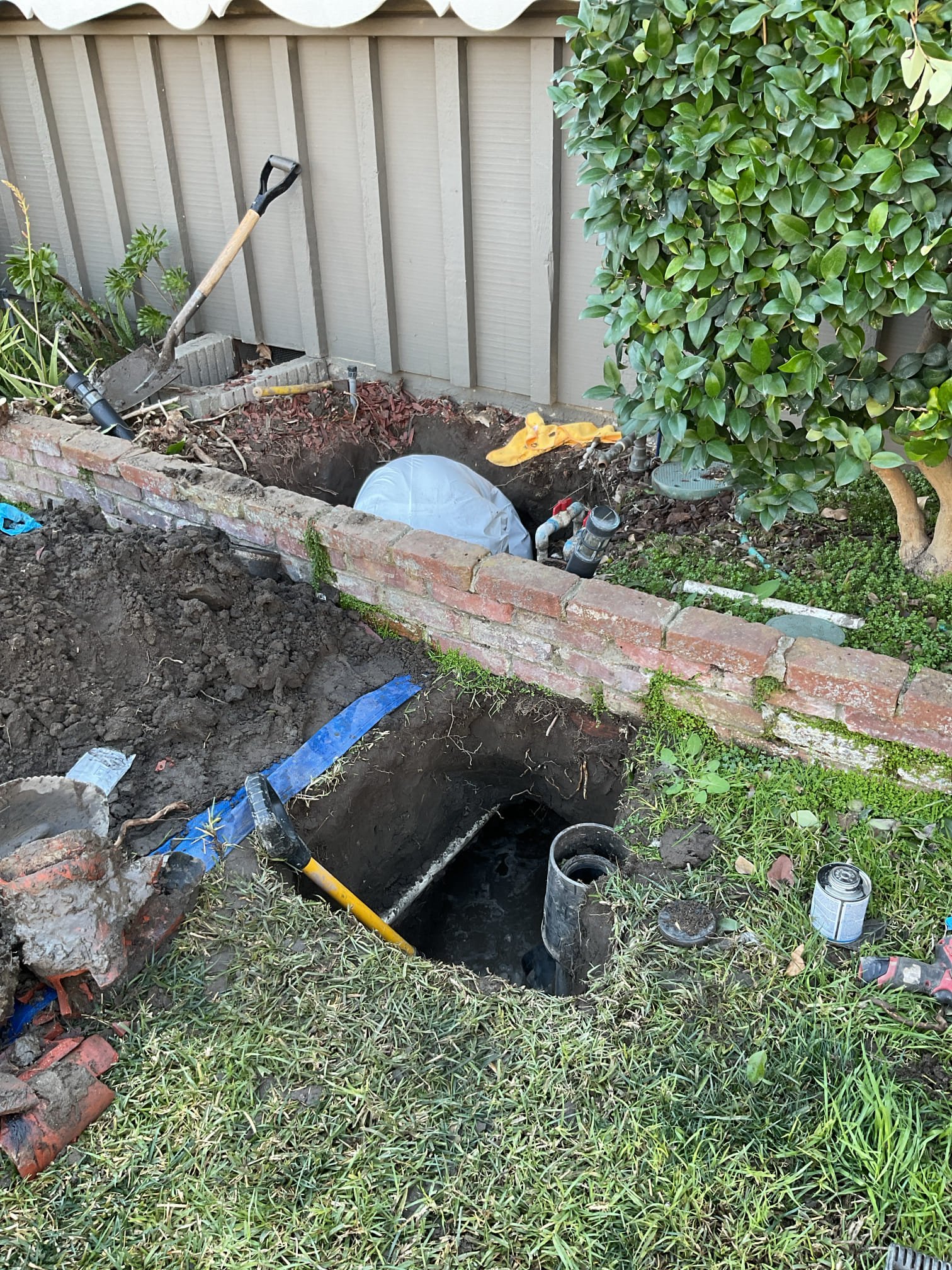 Cole Services ensures professional, high-quality plumbing solutions right in your backyard.