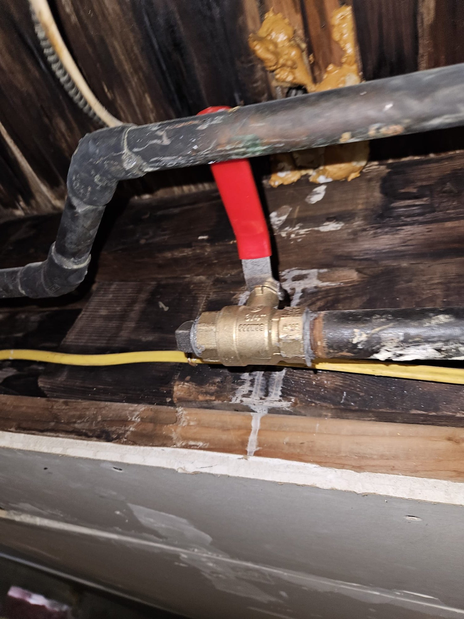 Service Professionals ensures precise plumbing solutions to prevent costly damages.