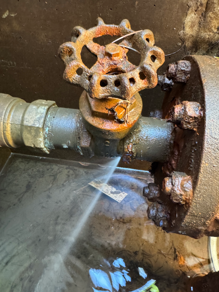 Ensure your plumbing is protected from leaks with A-1 Plumbing & Emergency Rooter – your trusted partner in prevention and repair.