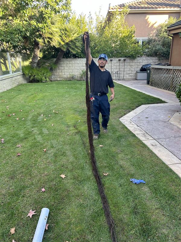 Cole Services: Expertly tackling tough plumbing challenges to keep your home flowing smoothly.