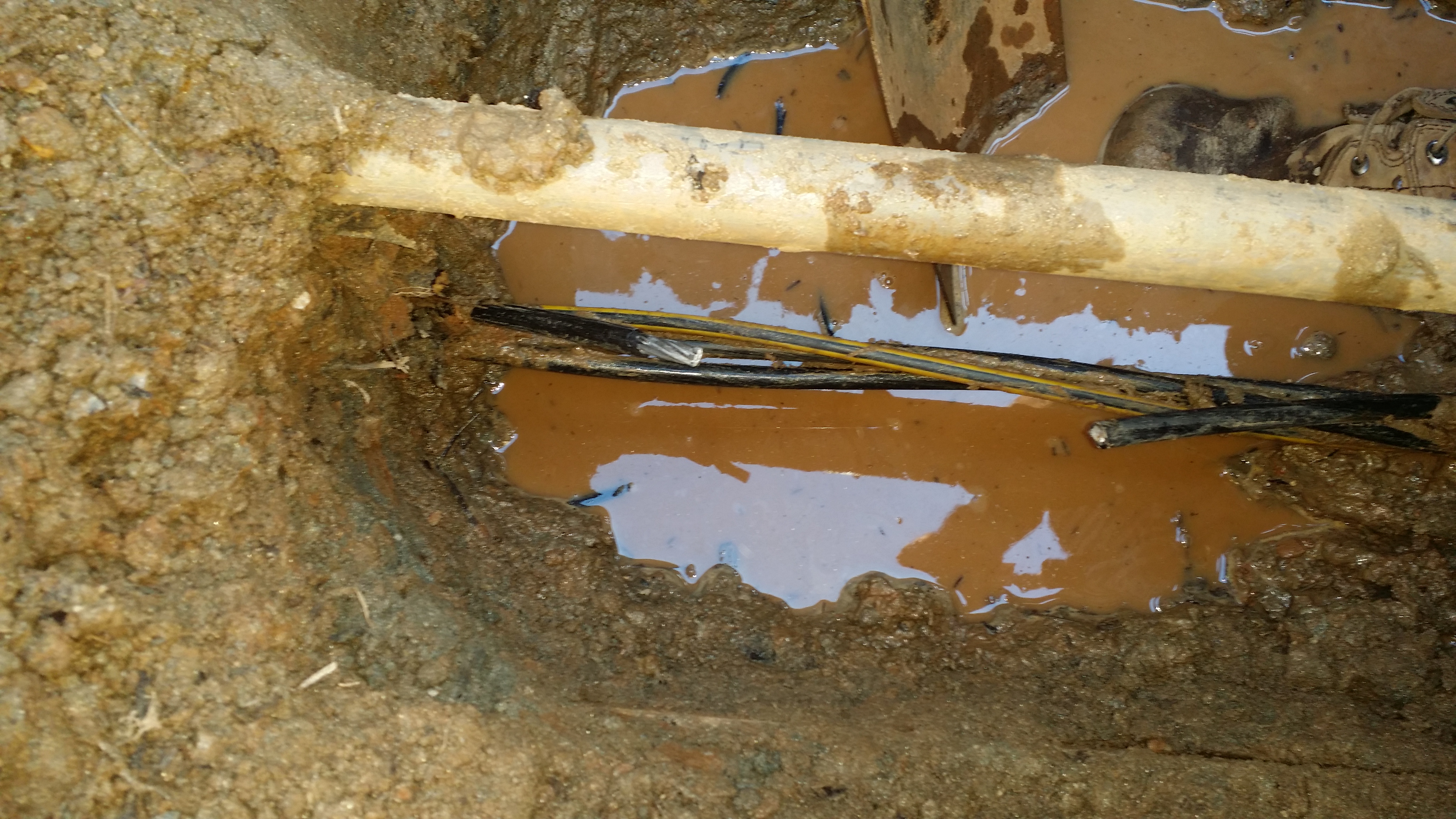 Aardvark Electric, Inc. tackles even the toughest environments to ensure your electrical systems run safely and efficiently.