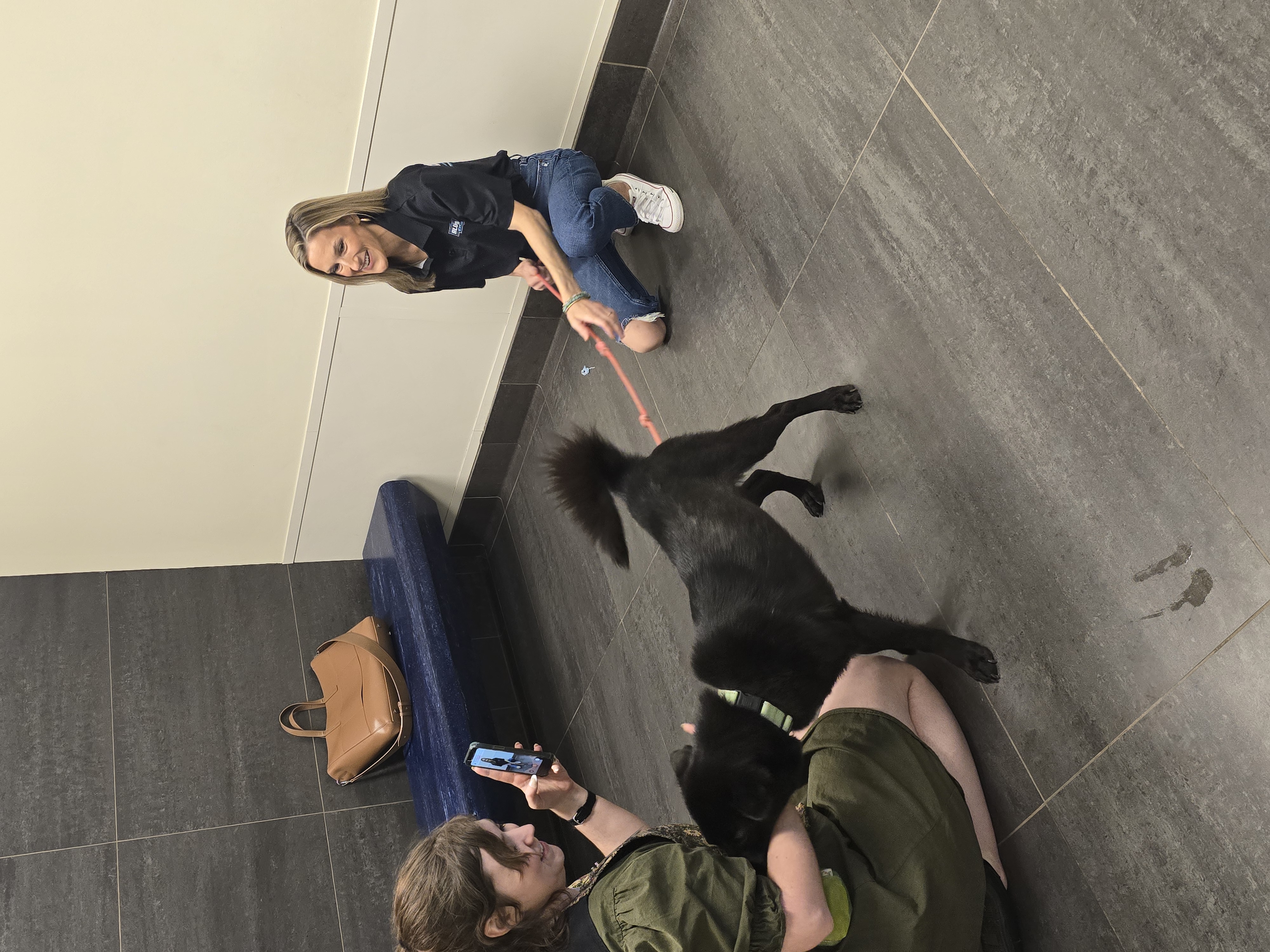 Friendly, professional service shines through as Blue Line Electric team members engage warmly with a customer and her dog, showcasing trust.