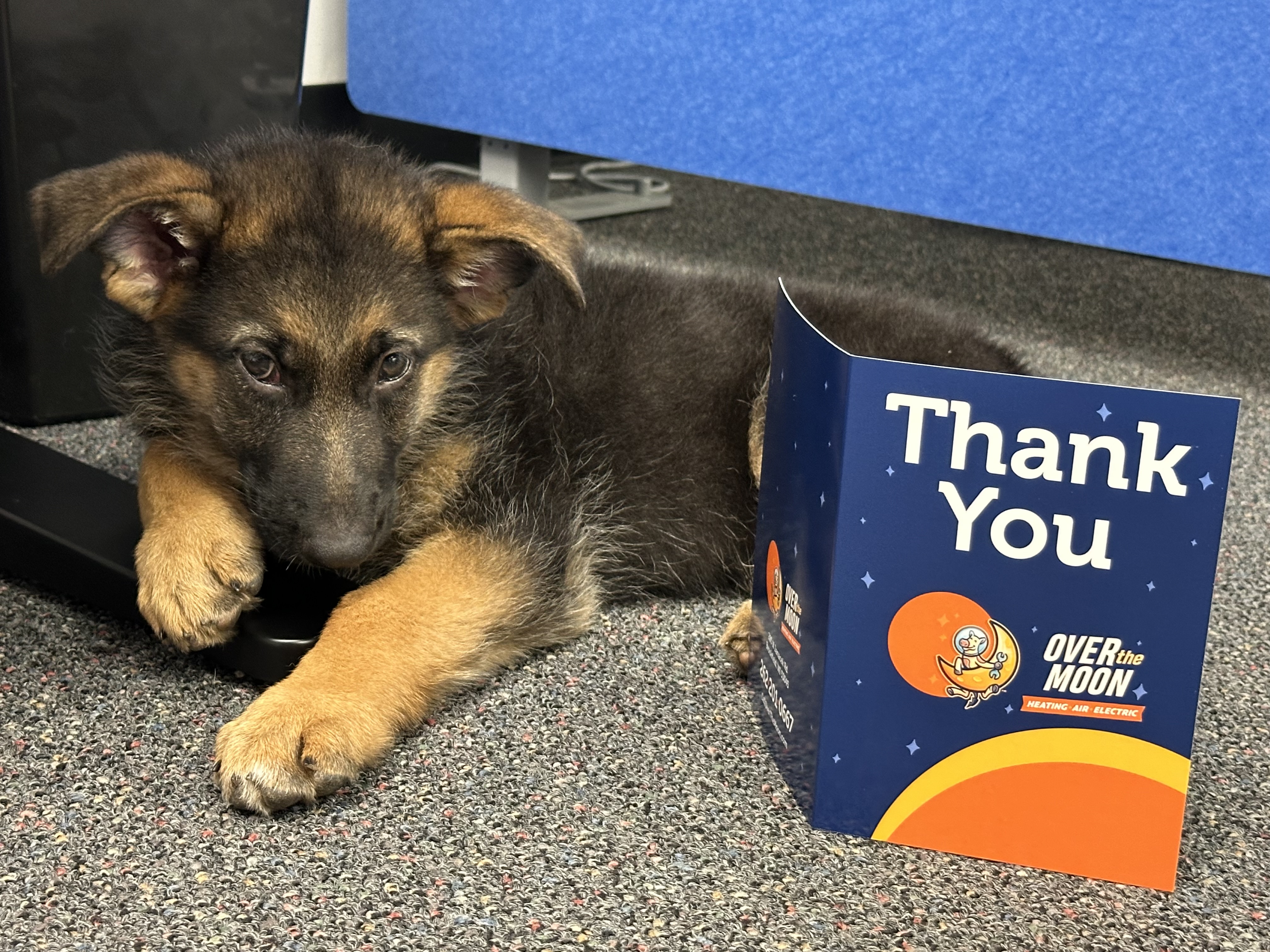 Feel appreciated every time with Over the Moon's heartfelt service.