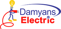 Damyans Electric Inc. Logo