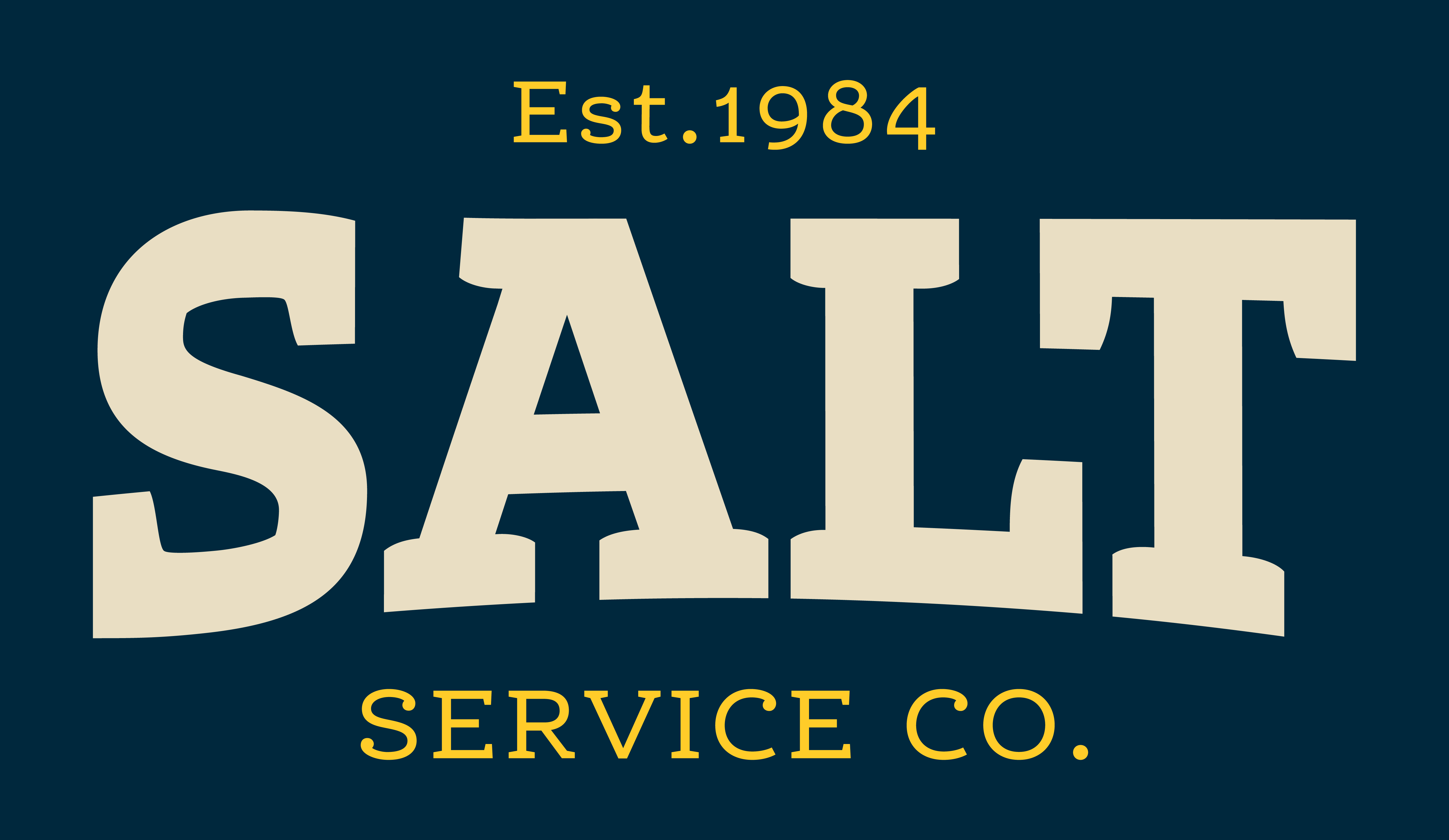 SALT Plumbing Air & Electric Logo