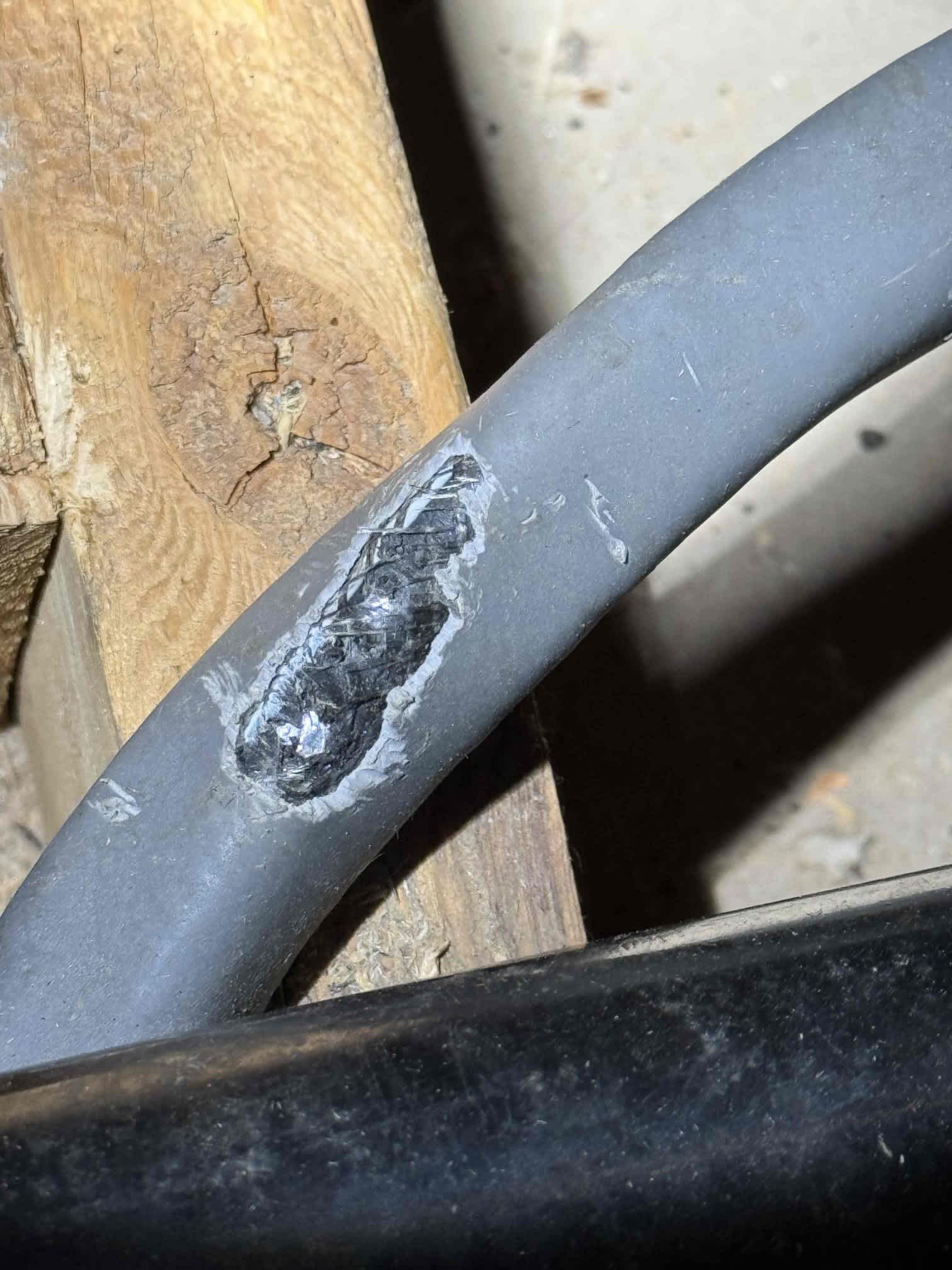 Trust WireNut Home Services to ensure your electrical systems are safe and sound with expert repairs and inspections.