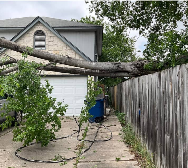 Ensure your home's safety with SALT Plumbing Air & Electric, providing timely tree removal and electrical repair services.