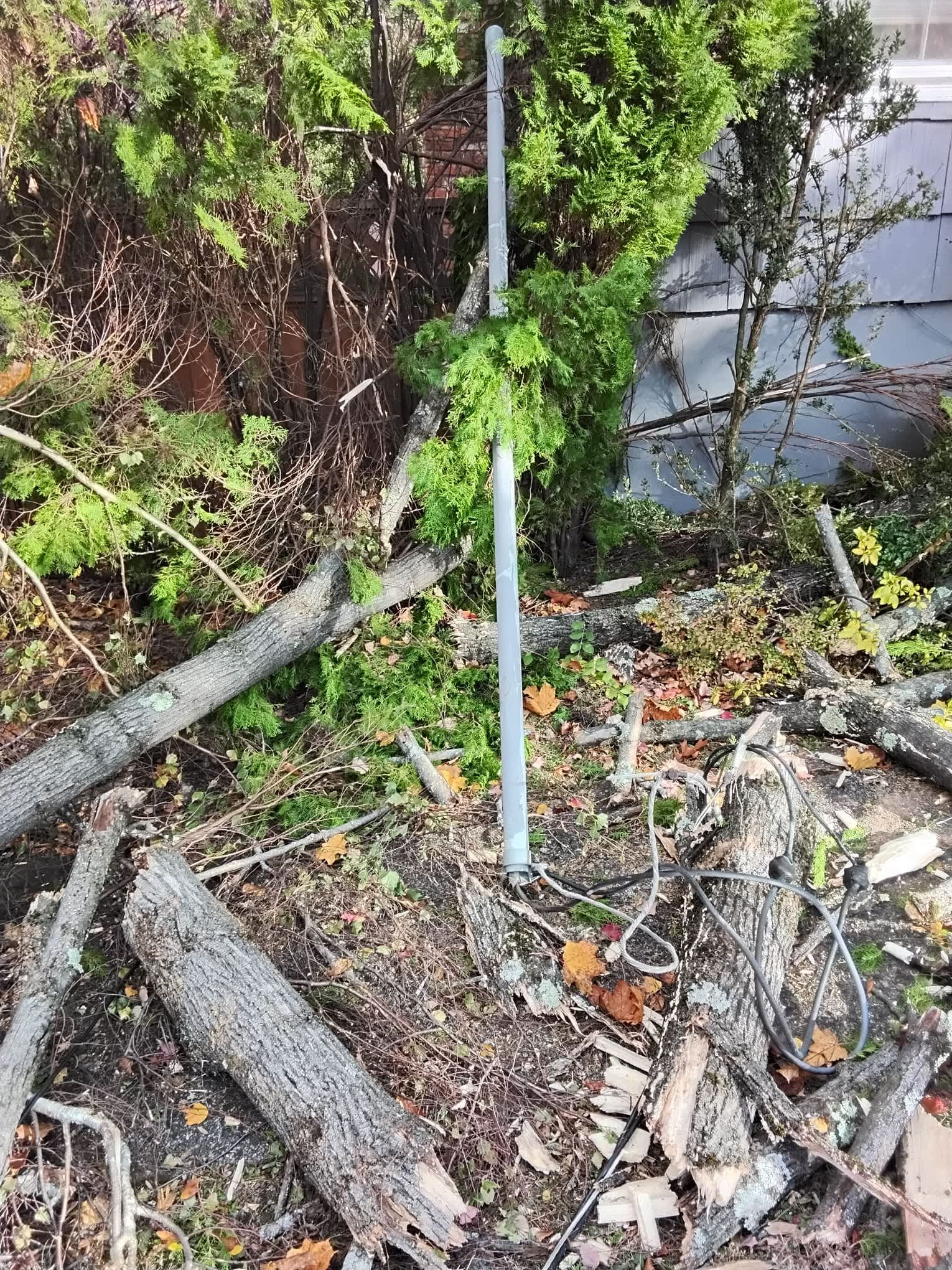 Rely on Service Professionals for swift and effective outdoor electrical repairs and tree removal, ensuring safety in every corner of your home.