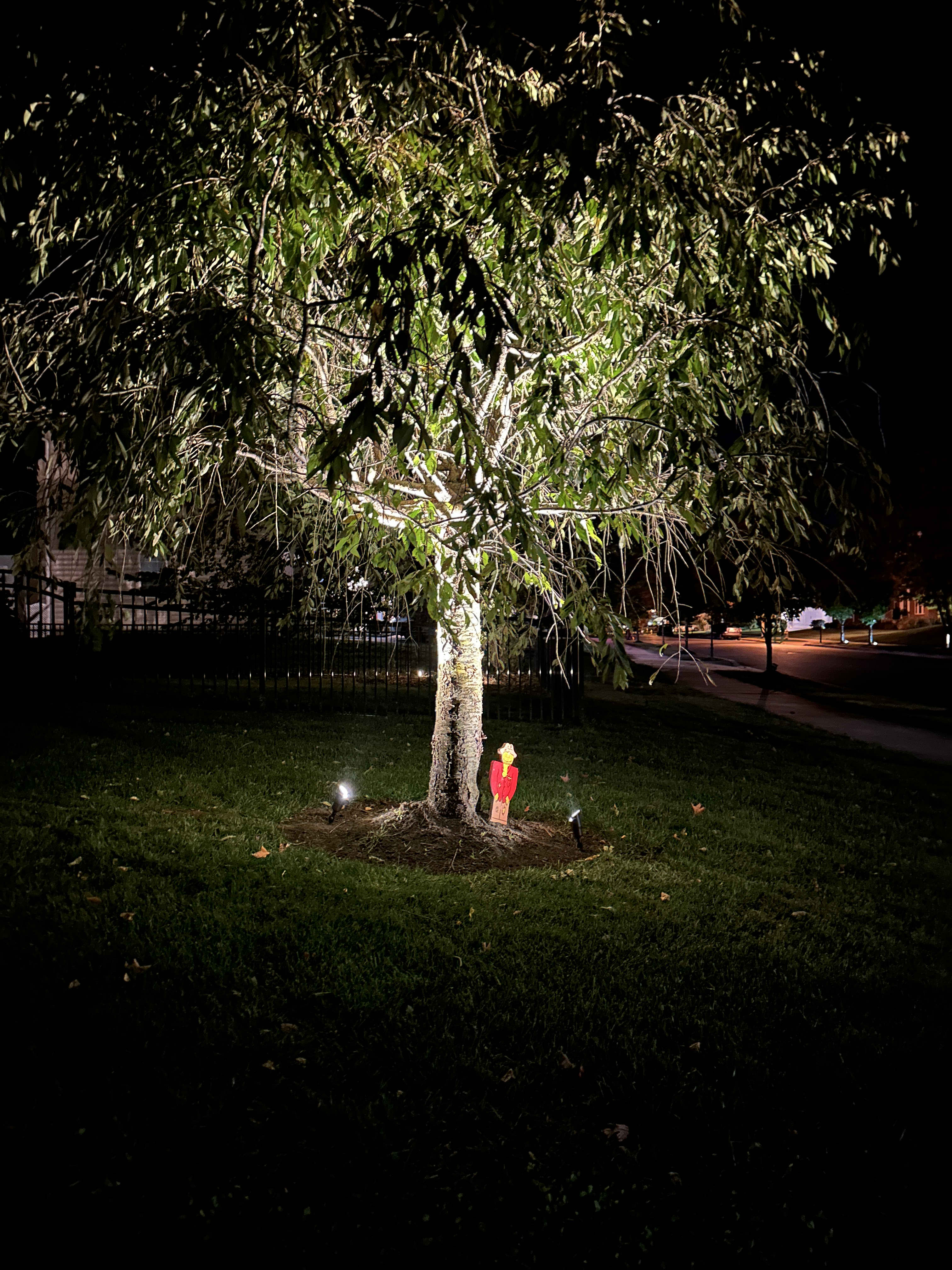 Embrace the serene beauty of a well-lit night scape with Boulden Brothers, where quality meets nature.