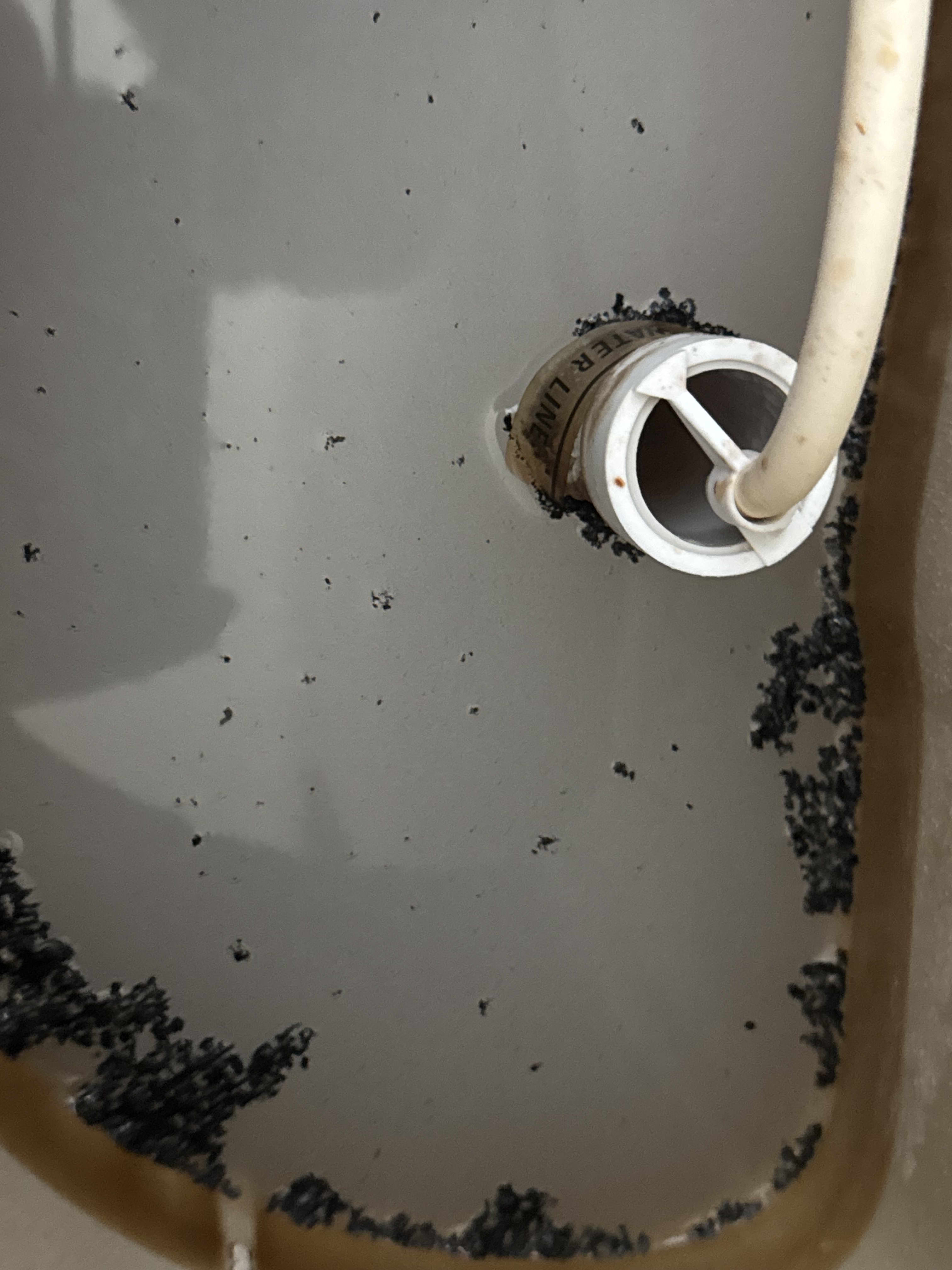 Southern Comfort Mechanical, your trusted partner for thorough and professional plumbing maintenance.