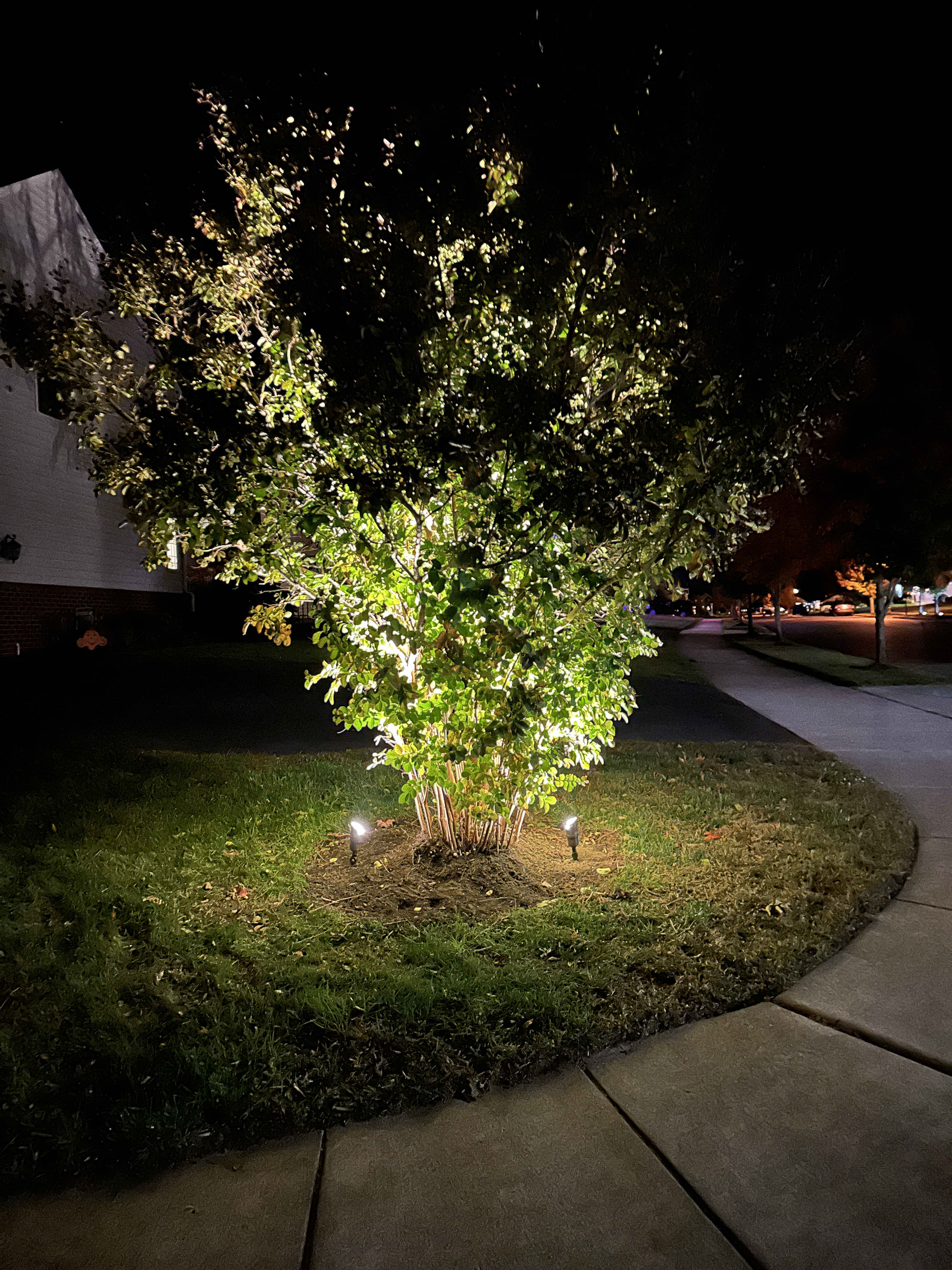 Illuminate your outdoor space with expertise and creativity by Boulden Brothers.