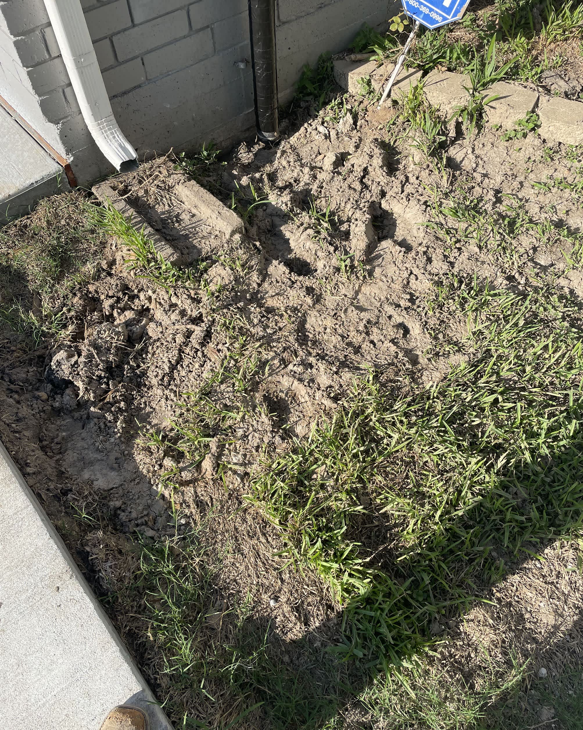 Prompt, careful drainage and exterior repair work from Abacus Plumbing, Air Conditioning & Electrical restores yard function and protects the foundation.