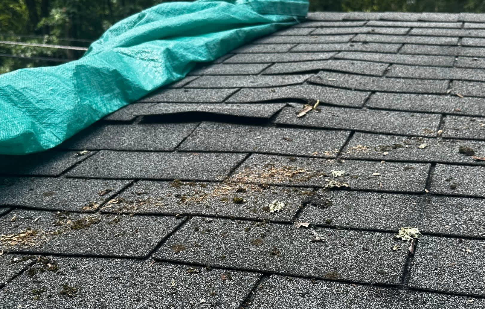 Mast Roofing & Construction ensures your home's protection with expert storm damage restoration and roof repair services.
