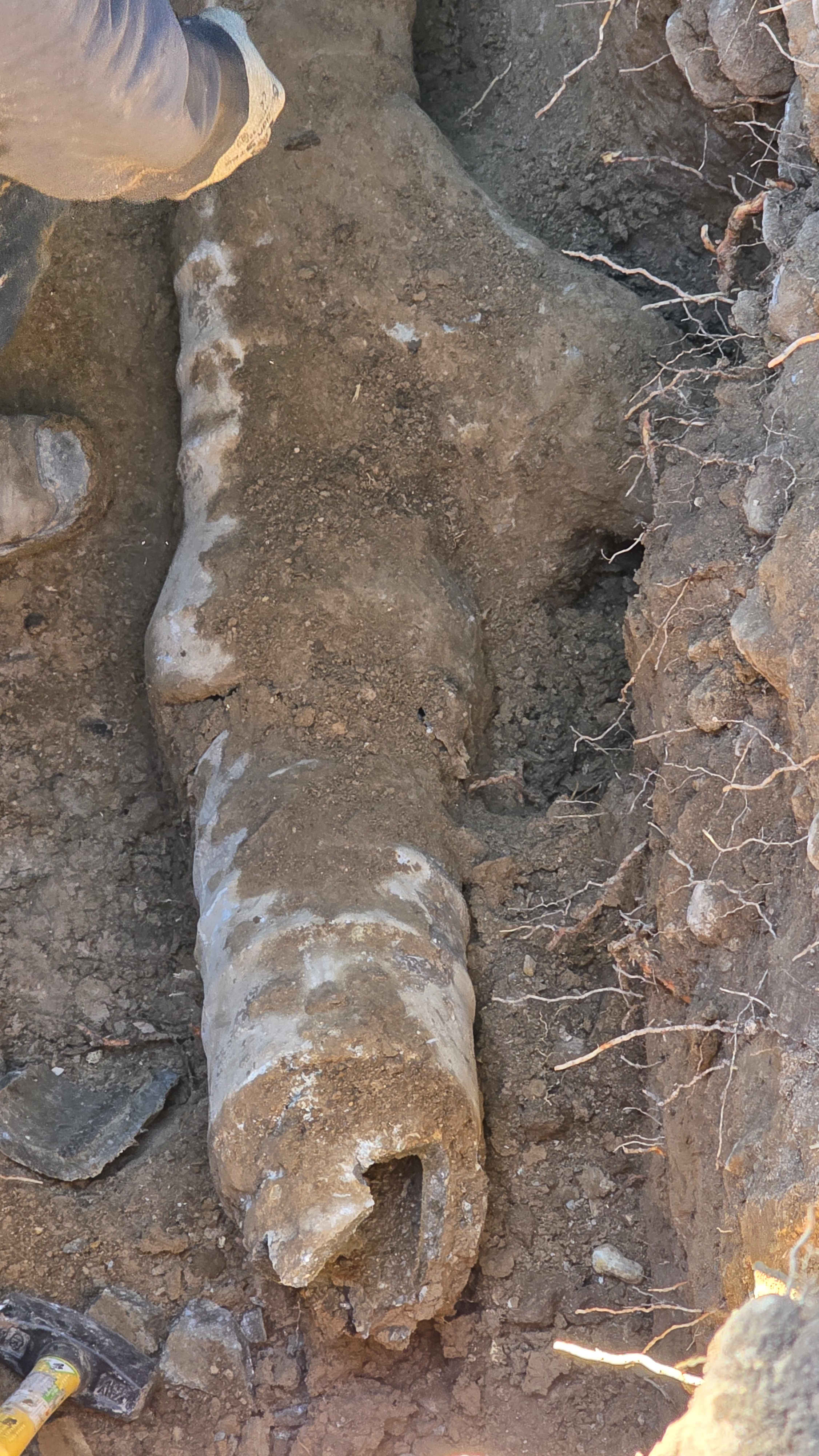 Eric's Plumbing & Drain Cleaning: Efficient, reliable solutions for all your plumbing challenges.