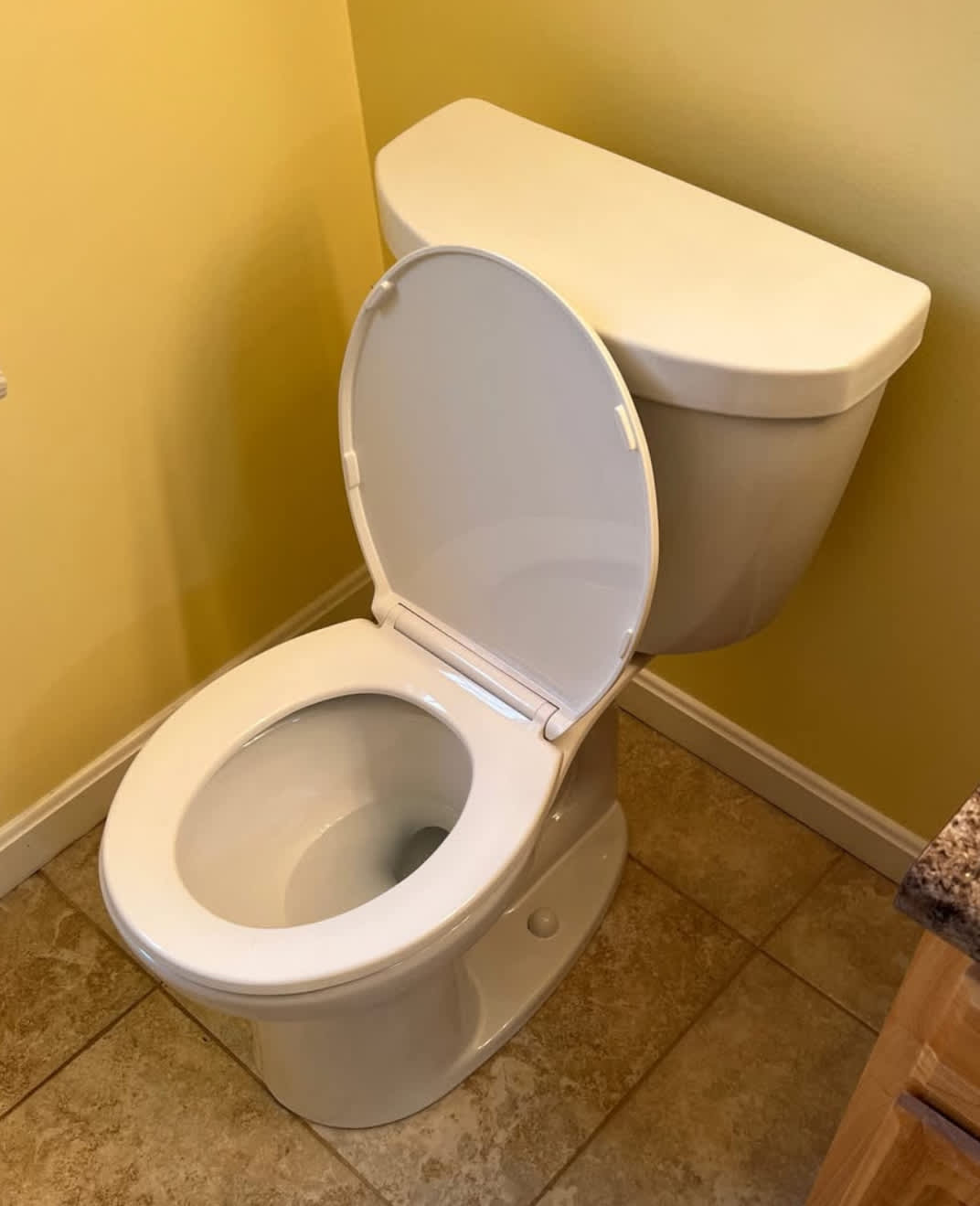 Experience the pristine quality and professionalism with Paul The Plumber's expert toilet repairs.