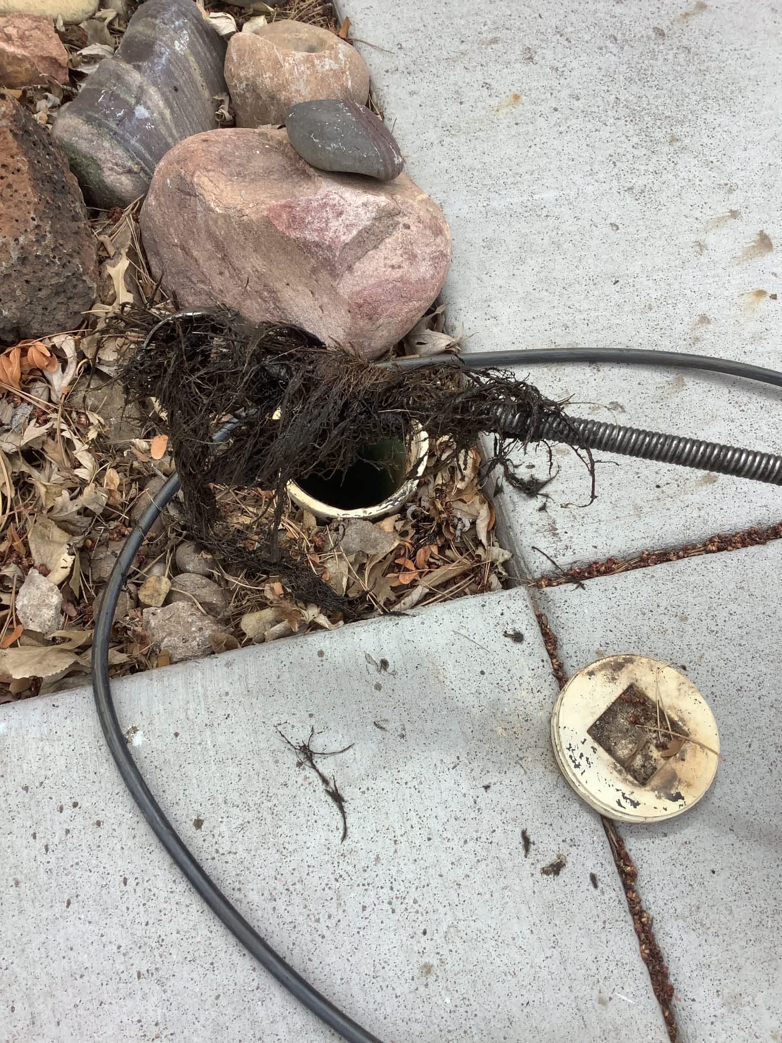 Trust Bell Plumbing for reliable outdoor drain clearing services to tackle root intrusion effectively.