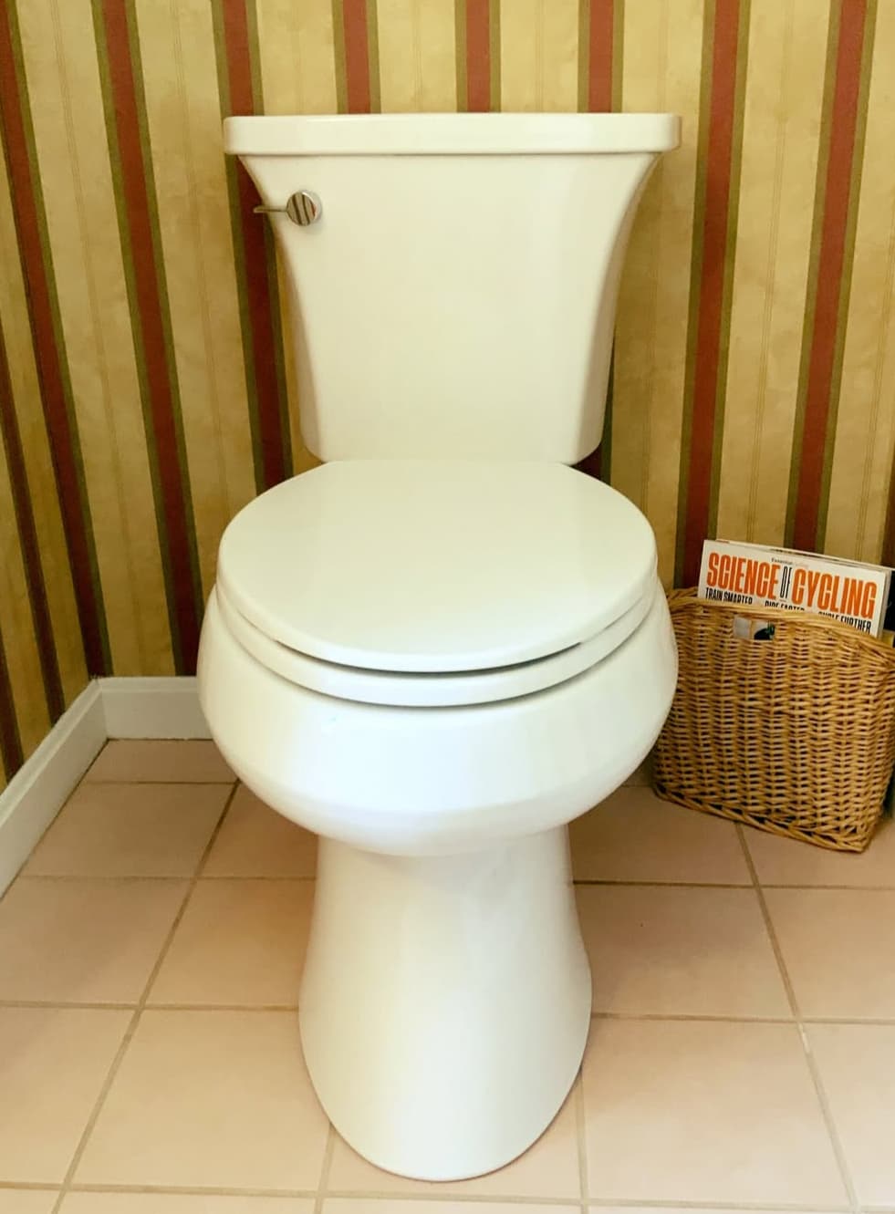 Enhance your home's functionality and style with Paul The Plumber's expert toilet repairs and installations.