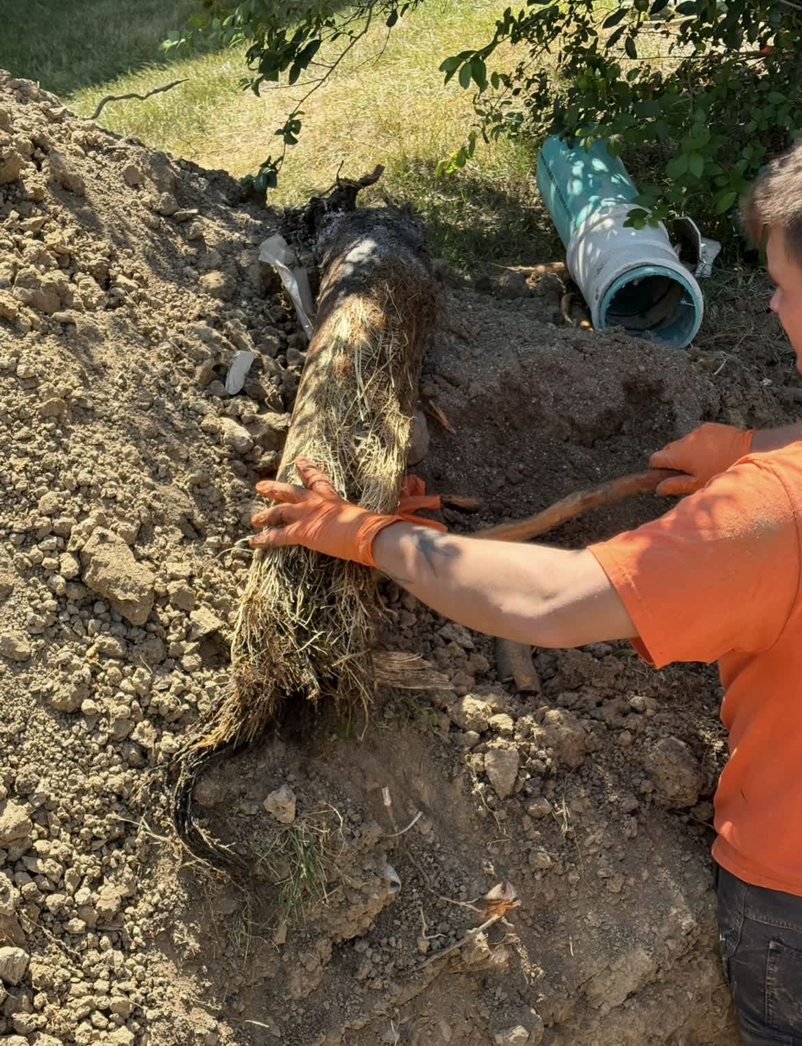 Experience the reliable service of Summers Plumbing Heating & Cooling, where we handle even the toughest root intrusions with professionalism and care.