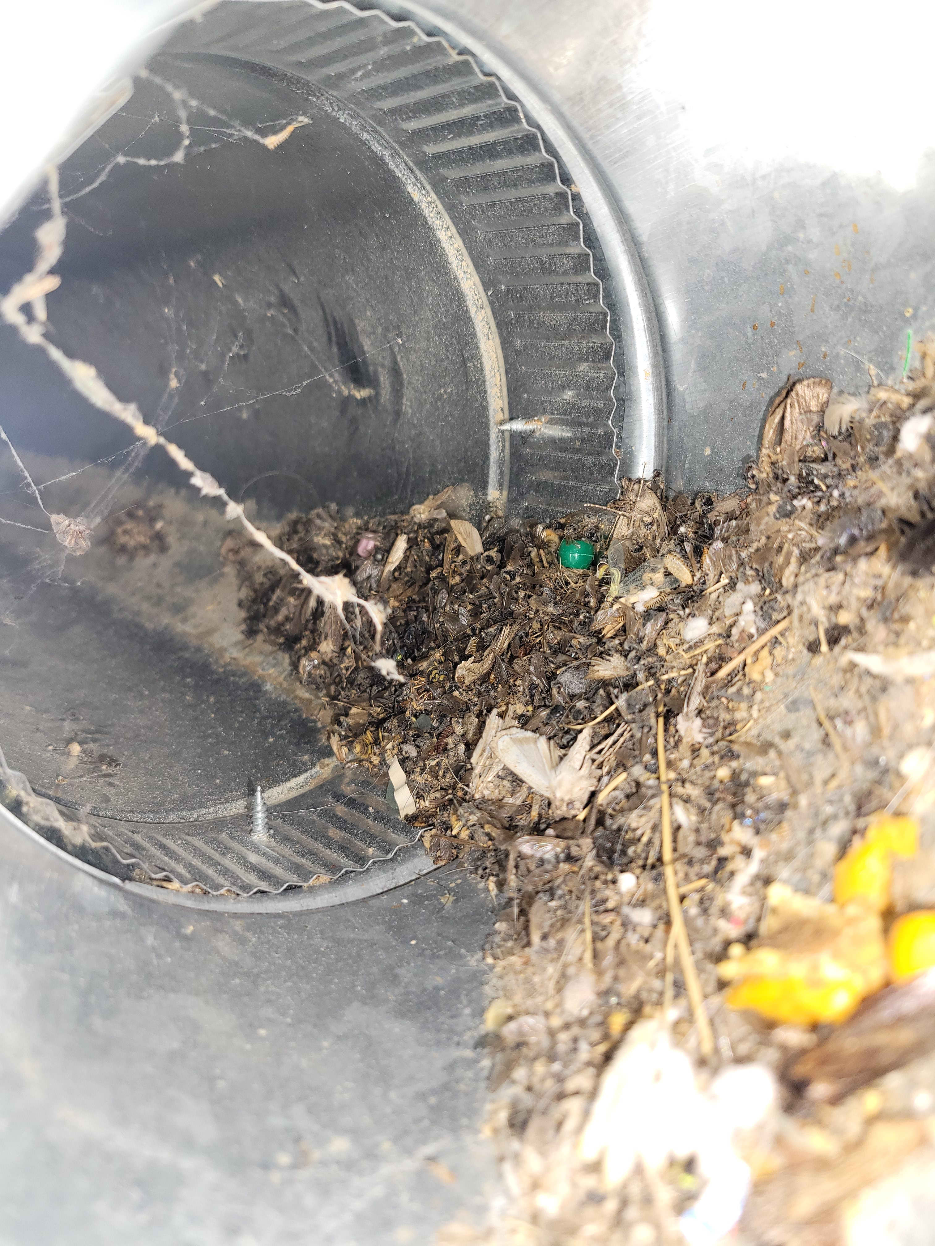 WireNut Home Services ensures clean and efficient duct systems to improve your indoor air quality.