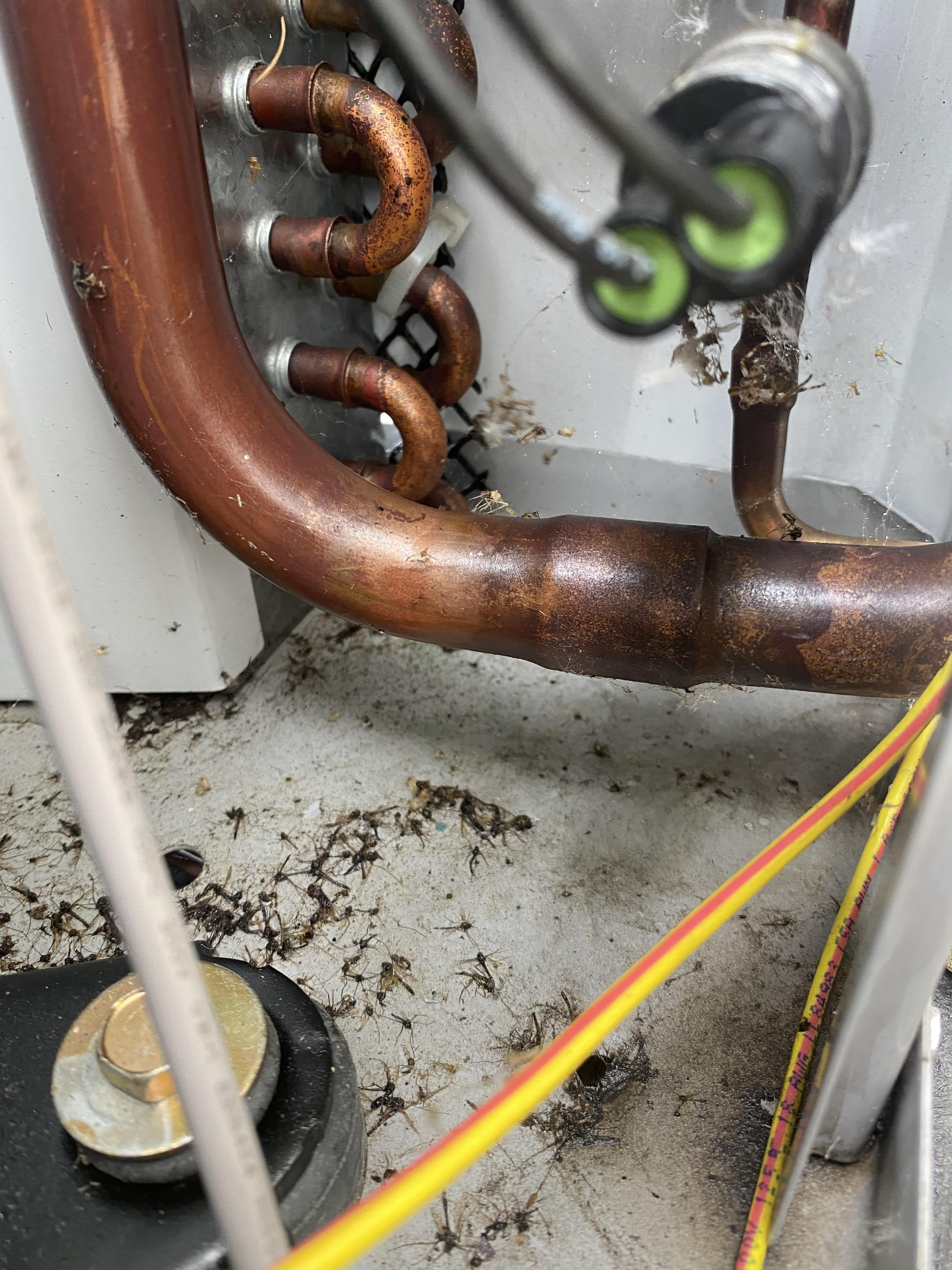 Ensure your HVAC system is in top shape with Harker Heating & Cooling's expert maintenance services.